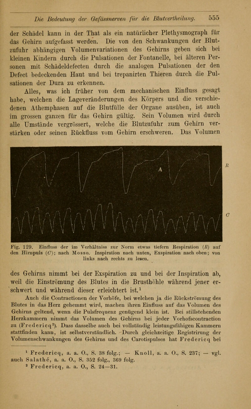 der Schädel kann in der That als ein natürlicher Plethysmograph für das Gehirn aufgefasst werden. Die von den Schwankungen der Blut- zufuhr abhängigen Volumenvariationen des Gehirns geben sich bei kleinen Kindern durch die Pulsationen der Fontanelle, bei älteren Per- sonen mit Schädeldefecten durch die analogen Pulsationen der den Defect bedeckenden Haut und bei trepanirten Thieren durch die Pul- sationen der Dura zu erkennen. Alles, was ich früher von dem mechanischen Einfluss gesagt habe, welchen die Lageveränderungen des Körpers und die verschie- denen Athemphasen auf die Blutfülle der Organe ausüben, ist auch im grossen ganzen für das Gehirn gültig. Sein Volumen wird durch alle Umstände vergrössert, welche die Blutzufuhr zum Gehirn ver- stärken oder seinen Rückfluss vom Gehirn erschweren. Das Volumen Fig. 129. Einfluss der im Verhältniss zur Norm etwas tiefern Respiration {B) auf den Hirnpuls (C); nach Mosso. Inspiration nach unten, Exspiration nach oben; von links nach rechts zu lesen. des Gehirns nimmt bei der Exspiration zu und bei der Inspiration ab, weil die Einströmung des Blutes in die Brusthöhle während jener er- schwert und während dieser erleichtert ist.^ Auch die Contractionen der Vorhöfe, bei welchen ja die Rückströmung des Blutes in das Herz gehemmt wird, machen ihi-en Einfluss auf das Volumen des Gehirns geltend, wenn die Pulsfrequenz genügend klein ist. Bei stillstehenden Herzkammern nimmt das Volumen des Gehirns bei jeder Vorhofscontraction zu (Fredericq^). Dass dasselbe auch bei vollständig leistungsfähigen Kammern stattfinden kann, ist selbstverständlich. Durch gleichzeitige Eegistrirung der Volumenschwankungen des Gehirns und des Carotispulses hat Fredericq bei 1 Fredericq, a. a. 0., S. 38 folg.; — KnoU, a. a. 0., S. 237; — vgl. auch Salathe, a. a. 0., S. 352 folg., 369 folg. ^ Fredericq, a. a. 0., S. 24—31.