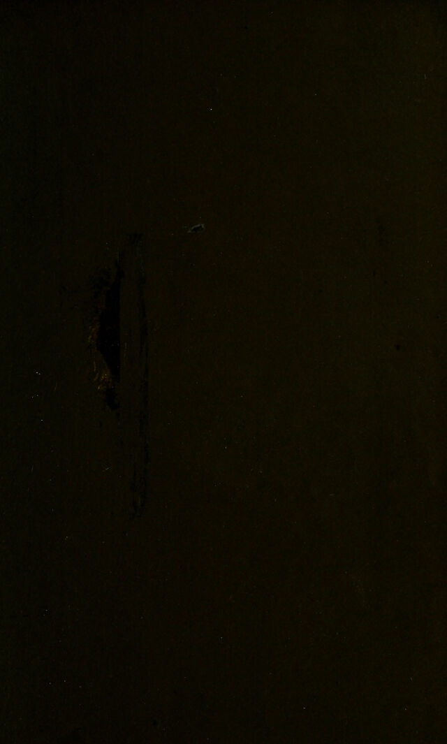 digitised image 3
