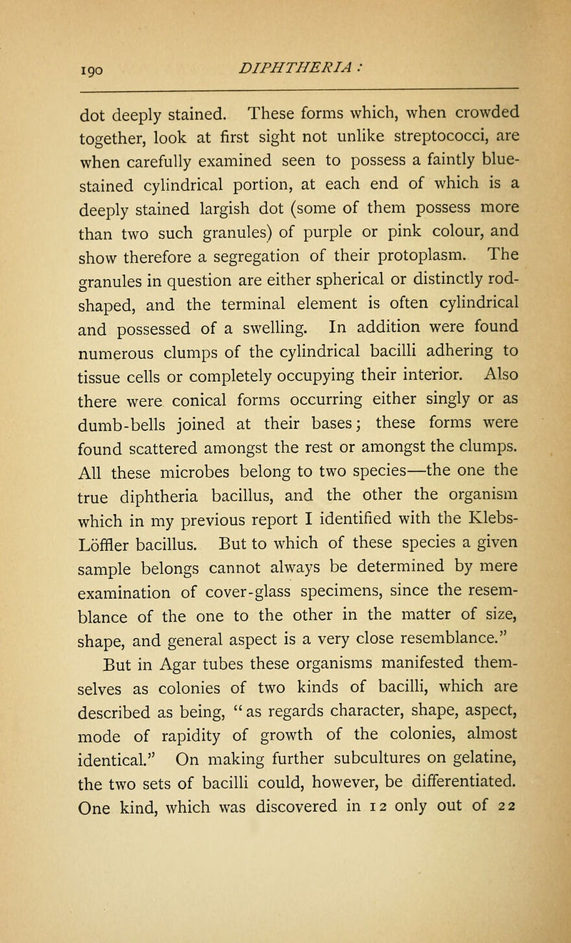 dot deeply stained. These forms which, when crowded together, look at first sight not unlike streptococci, are when carefully examined seen to possess a faintly blue- stained cylindrical portion, at each end of which is a deeply stained largish dot (some of them possess more than two such granules) of purple or pink colour, and show therefore a segregation of their protoplasm. The granules in question are either spherical or distinctly rod- shaped, and the terminal element is often cylindrical and possessed of a swelling. In addition were found numerous clumps of the cylindrical bacilli adhering to tissue cells or completely occupying their interior. Also there were conical forms occurring either singly or as dumb-bells joined at their bases; these forms were found scattered amongst the rest or amongst the clumps. All these microbes belong to two species—the one the true diphtheria bacillus, and the other the organism which in my previous report I identified with the Klebs- Loffler bacillus. But to which of these species a given sample belongs cannot always be determined by mere examination of cover-glass specimens, since the resem- blance of the one to the other in the matter of size, shape, and general aspect is a very close resemblance. But in Agar tubes these organisms manifested them- selves as colonies of two kinds of bacilli, which are described as being,  as regards character, shape, aspect, mode of rapidity of growth of the colonies, almost identical. On making further subcultures on gelatine, the two sets of bacilli could, however, be differentiated. One kind, which was discovered in 12 only out of 22