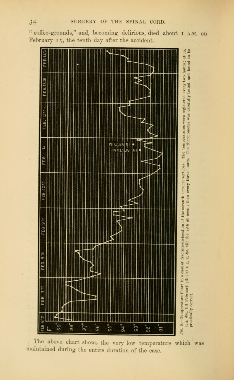 •' coffee-grounds, and, becoming delirious, died about i a.m. on February 15, the tenth day after the accident. The above chart show.s the very low temperature which was maintained during the entire duration of the case.