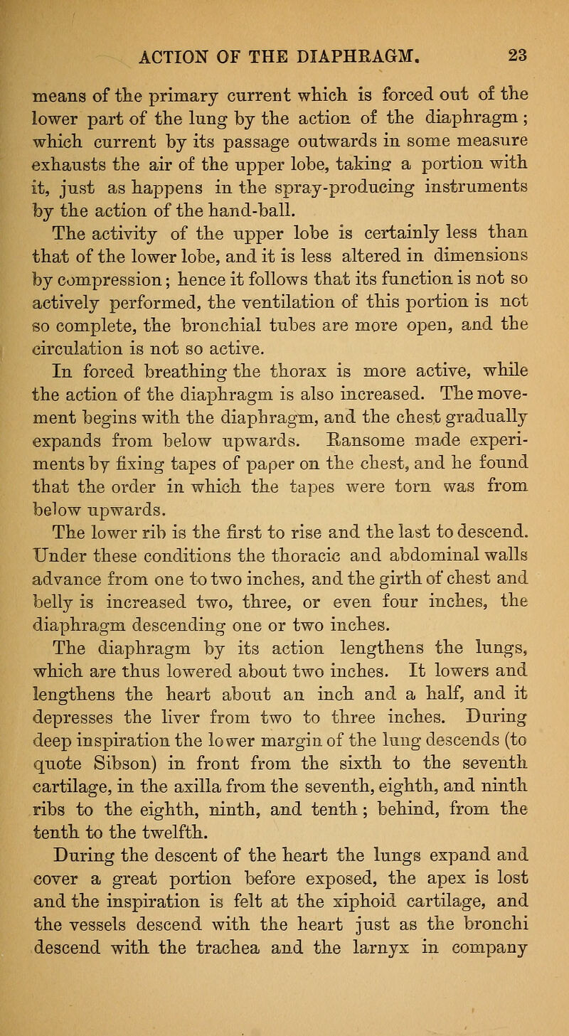 means of tlie primary current which is forced out of the lower part of the lung by the action of the diaphragm ; which current by its passage outwards in some measure exhausts the air of the upper lobe, takins: a portion with it, just as happens in the spray-producing instruments by the action of the hand-ball. The activity of the upper lobe is certainly less than that of the lower lobe, and it is less altered in dimensions by compression; hence it follows that its function is not so actively performed, the ventilation of this portion is not so complete, the bronchial tubes are more open, and the circulation is not so active. In forced breathing the thorax is more active, while the action of the diaphragm is also increased. The move- ment begins with the diaphragm, and the chest gradually expands from below upwards. Ransome made experi- ments by fixing tapes of paper on the chest, and he found that the order in which the tapes were torn was from below upwards. The lower rib is the first to rise and the last to descend. Under these conditions the thoracic and abdominal walls advance from one to two inches, and the girth of chest and belly is increased two, three, or even four inches, the diaphragm descending one or two inches. The diaphragm by its action lengthens the lungs, which are thus lowered about two inches. It lowers and lengthens the heart about an inch and a half, and it depresses the liver from two to three inches. During deep inspiration the lower margin of the lung descends (to quote Sibson) in front from the sixth to the seventh cartilage, in the axilla from the seventh, eighth, and ninth ribs to the eighth, ninth, and tenth; behind, from the tenth to the twelfth. During the descent of the heart the lungs expand and cover a great portion before exposed, the apex is lost and the inspiration is felt at the xiphoid cartilage, and the vessels descend with the heart just as the bronchi descend with the trachea and the larnyx in company