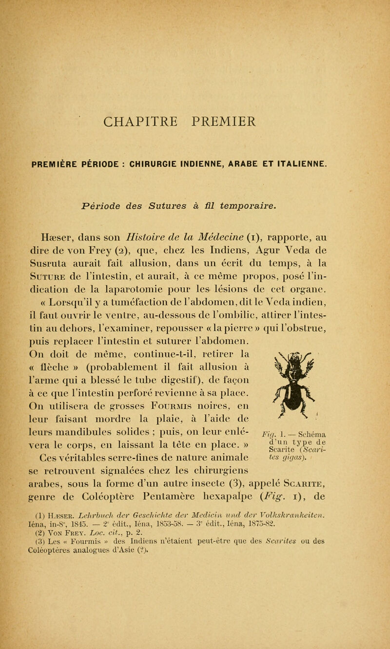 CHAPITRE PREMIER PREMIÈRE PÉRIODE : CHIRURGIE INDIENNE, ARABE ET ITALIENNE. Période des Sutures à ïîl temporaire. Hseser, dans son Histoire de la Médecine (i), rapporte, au dire de von Frey (2), que, chez les Indiens, Agur Veda de Susruta aurait fait allusion, dans un écrit du temps, à la Suture de l'intestin, et aurait, à ce même propos, posé l'in- dication de la laparotomie pour les lésions de cet organe. « Lorsqu'il y a tuméfaction de l'abdomen, dit le Veda indien, il faut ouvrir le ventre, au-dessous de l'ombilic, attirer l'intes- tin au dehors, l'examiner, repousser «la pierre» qui l'obstrue, puis replacer l'intestin et suturer l'abdomen. On doit de même, continue-t-il, retirer la « flèche » (probablement il fait allusion à l'arme qui a blessé le tube digestif), de façon à ce que l'intestin perforé revienne à sa place. On utilisera de grosses Fourmis noires, en leur faisant mordre la plaie, à l'aide de leurs mandibules solides ; puis, on leur enlè- vera le corps, en laissant la tête en place. » Ces véritables serre-iines de nature animale se retrouvent signalées chez les chirurgiens arabes, sous la forme d'un autre insecte (3), appelé Scarite, genre de Coléoptcre Pentamère hexapalpe (Fig. 1), de (1) ILeser. Lehrbuch der Geschichte der Medicin und der Volkskranheiten. Iéna, in-8°, 1845. — 2' édit., Iéna, 1833-58. — 3° édit., Iéna, 1875-N2. (2) Von Frey. Loc. cit., p. 2. (ii) Les « Fourmis » des Indiens n'étaient peut-être que des Scarites ou des Coléoptères analogues d'Asie (?> Fia. 1. — Schéma d'un type de Scarite (Scari- tes gigas).