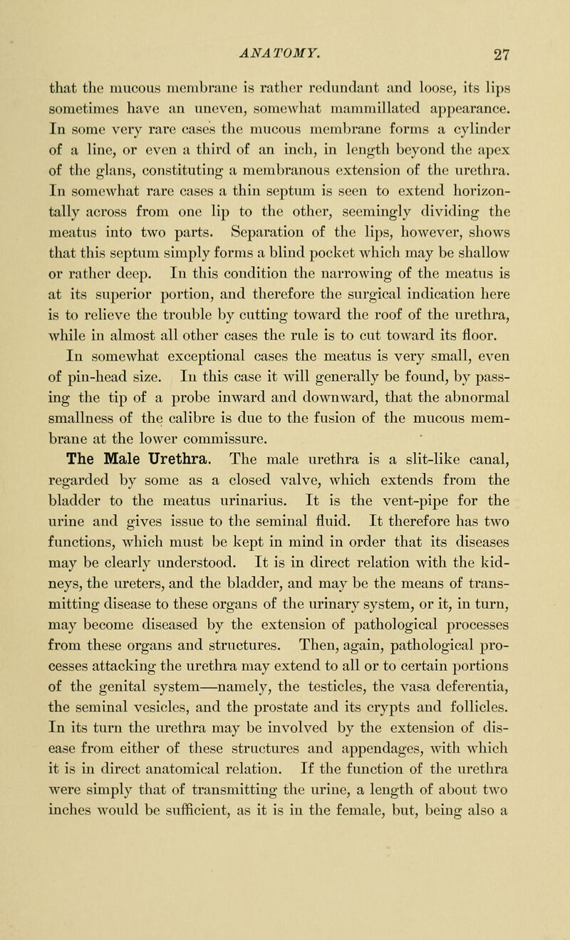 that the mucous membrane is rather redundant and loose, its lips sometimes have an uneven, somewhat mammillated appearance. In some very rare cases the mucous membrane forms a cylinder of a line, or even a third of an inch, in length beyond the apex of the glans, constituting a membranous extension of the urethra. In somewhat rare cases a thin septum is seen to extend horizon- tally across from one lip to the other, seemingly dividing the meatus into two parts. Separation of the lips, however, shows that this septum simply forms a blind pocket which may be shallow or rather deep. In this condition the narrowing of the meatus is at its superior portion, and therefore the surgical indication here is to relieve the trouble by cutting toward the roof of the urethra, while in almost all other cases the rule is to cut toward its floor. In somewhat exceptional cases the meatus is very small, even of pin-head size. In this case it will generally be found, by pass- ing the tip of a probe inward and downward, that the abnormal smallness of the calibre is due to the fusion of the mucous mem- brane at the lower commissure. The Male Urethra. The male urethra is a slit-like canal, regarded by some as a closed valve, which extends from the bladder to the meatus urinarius. It is the vent-pipe for the urine and gives issue to the seminal fluid. It therefore has two functions, which must be kept in mind in order that its diseases may be clearly understood. It is in direct relation with the kid- neys, the ureters, and the bladder, and may be the means of trans- mitting disease to these organs of the urinary system, or it, in turn, may become diseased by the extension of pathological processes from these organs and structures. Then, again, pathological pro- cesses attacking the urethra may extend to all or to certain portions of the genital system—namely, the testicles, the vasa deferentia, the seminal vesicles, and the prostate and its crypts and follicles. In its turn the urethra may be involved by the extension of dis- ease from either of these structures and appendages, with which it is in direct anatomical relation. If the function of the urethra were simply that of transmitting the urine, a length of about two inches would be suflicient, as it is in the female, but, being also a