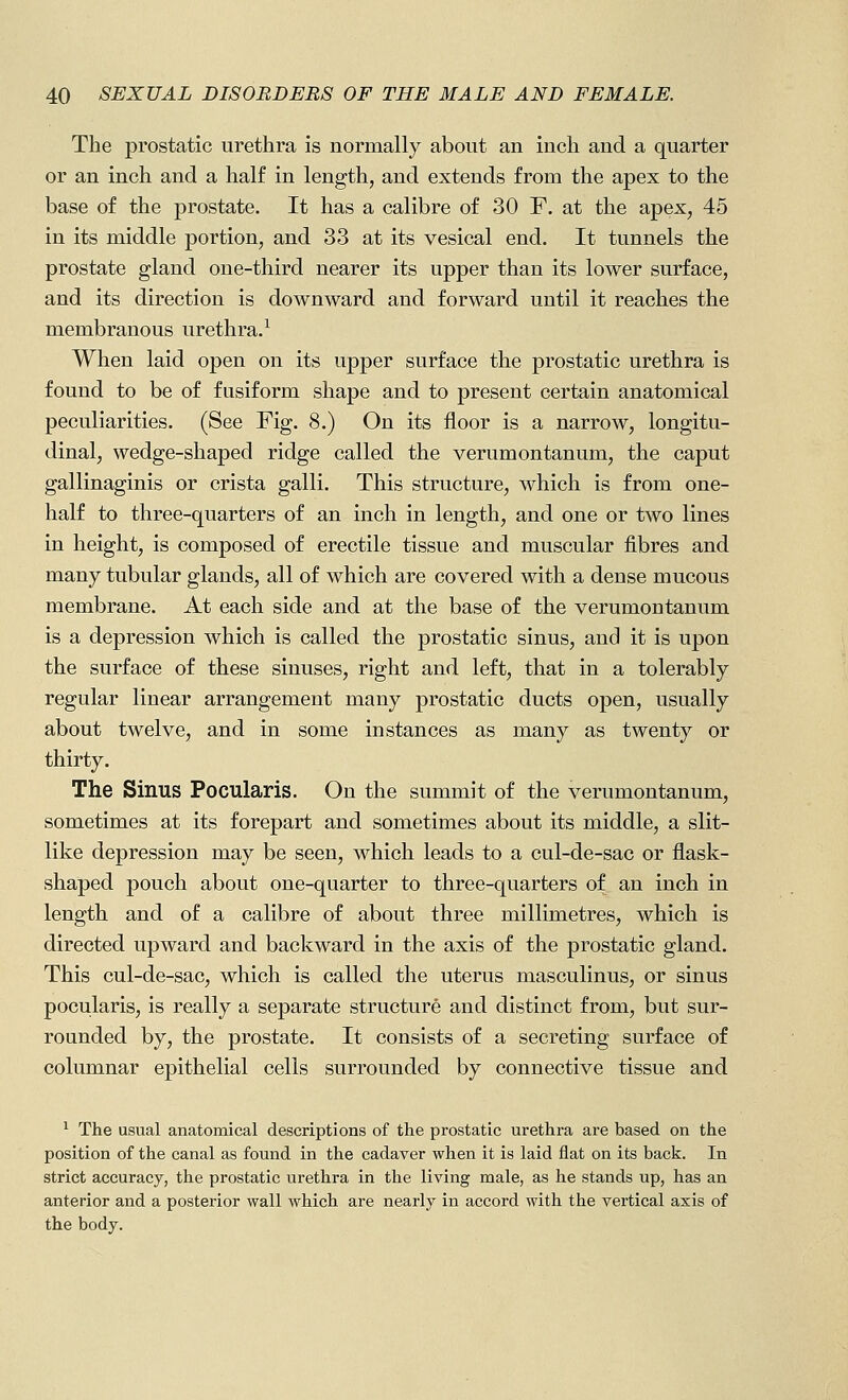 The prostatic urethra is normally about an inch and a quarter or an inch and a half in length, and extends from the apex to the base of the prostate. It has a calibre of 30 F. at the apex, 45 in its middle portion, and 33 at its vesical end. It tunnels the prostate gland one-third nearer its upper than its lower surface, and its direction is downward and forward until it reaches the membranous urethra.^ When laid open on its upper surface the prostatic urethra is found to be of fusiform shape and to present certain anatomical peculiarities. (See Fig. 8.) On its floor is a narrow, longitu- dinal, wedge-shaped ridge called the verumontanum, the caput gallinaginis or crista galli. This structure, which is from one- half to three-quarters of an inch in length, and one or two lines in height, is composed of erectile tissue and muscular fibres and many tubular glands, all of which are covered with a dense mucous membrane. At each side and at the base of the verumontanum is a depression which is called the prostatic sinus, and it is upon the surface of these sinuses, right and left, that in a tolerably regular linear arrangement many prostatic ducts open, usually about twelve, and in some instances as many as twenty or thirty. The Sinus Pocularis. On the summit of the verumontanum, sometimes at its forepart and sometimes about its middle, a slit- like depression may be seen, which leads to a cul-de-sac or flask- shaped pouch about one-quarter to three-quarters of an inch in length and of a calibre of about three millimetres, which is directed upward and backward in the axis of the prostatic gland. This cul-de-sac, which is called the uterus masculinus, or sinus pocularis, is really a separate structure and distinct from, but sur- rounded by, the prostate. It consists of a secreting surface of columnar epithelial cells surrounded by connective tissue and ^ The usual anatomical descriptions of the prostatic urethra are based on the position of the canal as found in the cadaver when it is laid fiat on its back. In strict accuracy, the prostatic urethra in the living male, as he stands up, has an anterior and a posterior wall which are nearly in accord with the vertical axis of the body.