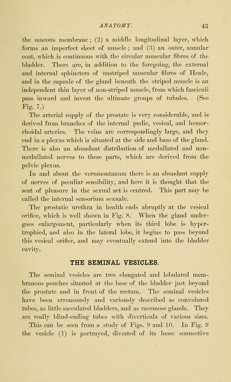 the mucous membrane; (2) a middle longitudinal layer, which forms an imperfect sheet of muscle ; and (3) an outer, annular coat, which is continuous with the circular muscular fibres of the bladder. There are, in addition to the foregoing, the external and internal sphincters of unstriped muscular fibres of Henle, and in the capsule of the gland beneath the striped muscle is an independent thin layer of non-striped muscle, from which fasciculi pass inward and invest the ultimate groups of tubules. (See Fig. 7.) The arterial supply of the prostate is very considerable, and is derived from branches of the internal pudic, vesical, and hemor- rhoidal arteries. The veins are correspondingly large, and they end in a plexus which is situated at the side and base of the gland. There is also an abundant distribution of meduUated and non- medullated nerves to these parts, which are derived from the pelvic plexus. In and about the verumontanum there is an abundant supply of nerves of peculiar sensibility, and here it is thought that the seat of pleasure in the sexual act is centred. This part may be called the internal sensorium sexuale. The prostatic urethra in health ends abruptly at the vesical orifice, which is well shown in Fig. 8. When the gland under- goes enlargement, particularly when its tliird lobe is hyper- trophied, and also in the lateral lobe, it begins to pass beyond this vesical orifice, and may eventually extend into the bladder cavity. THE SEMINAL VESICLES. The seminal vesicles are two elongated and lobulated mem- branous pouches situated at the base of the bladder just beyond the prostate and in front of the rectum. The seminal vesicles have been erroneously and variously described as convoluted tubes, as little sacculated bladders, and as racemose glands. They are really blind-ending tubes with diverticula of various sizes. This can be seen from a study of Figs. 9 and 10. In Fig. 9 the vesicle (1) is portrayed, divested of its loose connective