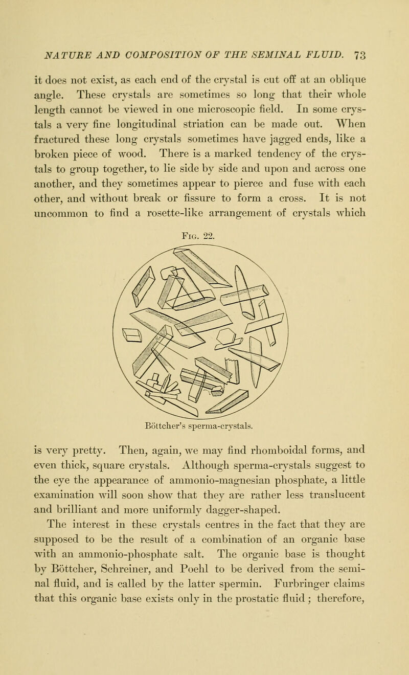 it does not exist, as each end of the crystal is cut off at an oblique angle. These crystals are sometimes so long that their whole length cannot be viewed in one microscopic field. In some cr}\s- tals a very fine longitudinal striation can be made out. When fractured these long crystals sometimes have jagged ends, like a broken piece of wood. There is a marked tendency of the crys- tals to group together, to lie side by side and upon and across one another, and they sometimes appear to pierce and fuse with each other, and without break or fissure to form a cross. It is not uncommon to find a rosette-like arrangement of crystals which Fig. 22. Bottcher's sperma-crvstals is very pretty. Then, again, we may find rhomboidal forms, and even thick, square crystals. Although sperma-crystals suggest to the eye the appearance of ammonio-magnesian phosphate, a little examination will soon show that they are rather less translucent and brilliant and more uniformly dagger-shaped. The interest in these crystals centres in the fact that they are supposed to be the result of a combination of an organic base with an ammonio-phosphate salt. The organic base is thought by Bottcher, Schreiner, and Poehl to be derived from the semi- nal fluid, and is called by the latter spermin. Furbringer claims that this organic base exists only in the prostatic fluid ; therefore.