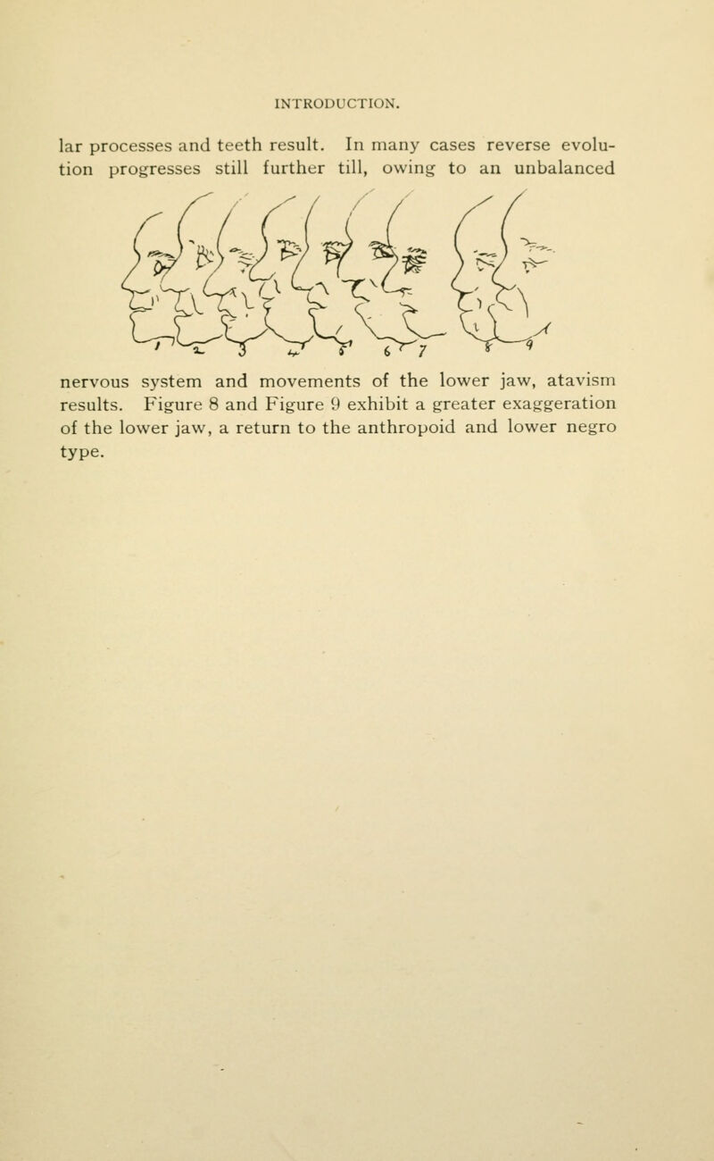 lar processes and teeth result. In many cases reverse evolu- tion progresses still further till, owing to an unbalanced 6 ' 7 nervous system and movements of the lower jaw, atavism results. Figure 8 and Figure 9 exhibit a greater exaggeration of the lower jaw, a return to the anthropoid and lower negro type.