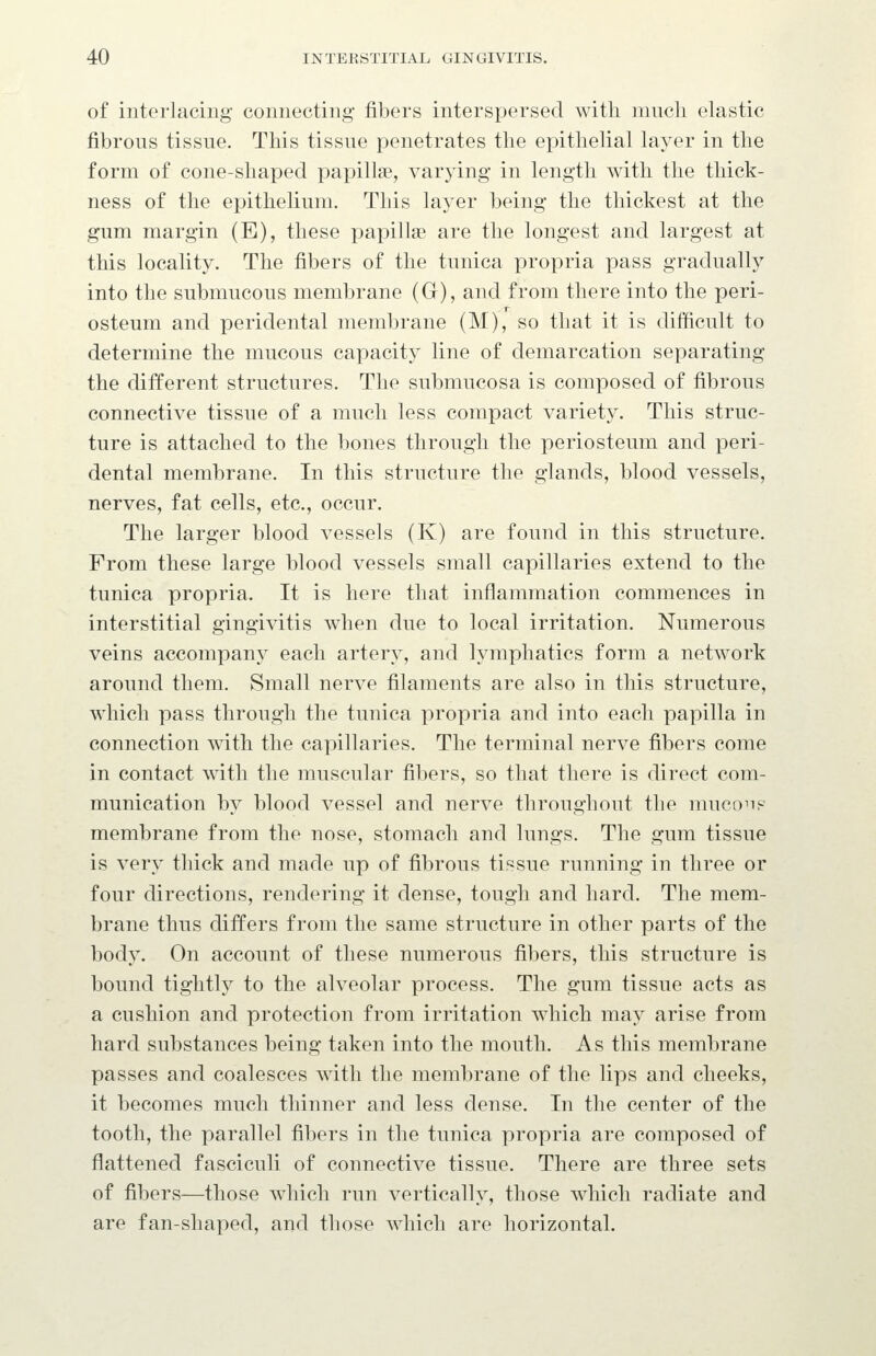 of interlacing connecting fibers interspersed with nmcli elastic fibrous tissue. This tissue penetrates the epithelial layer in the form of cone-shaped papillae, varying in length with the thick- ness of the epithelium. This layer being the thickest at the gum margin (E), these papillae are the longest and largest at this locality. The fibers of the tunica propria pass gradually into the submucous membrane (G), and from there into the peri- osteum and peridental membrane (M), so that it is difficult to determine the mucous capacity line of demarcation separating the ditferent structures. The submucosa is composed of fibrous connective tissue of a much less compact variety. This struc- ture is attached to the bones through the periosteum and peri- dental membrane. In this structure the glands, blood vessels, nerves, fat cells, etc., occur. The larger blood vessels (K) are found in this structure. From these large blood vessels small capillaries extend to the tunica propria. It is here that inflammation commences in interstitial gingivitis when due to local irritation. Numerous veins accompany each artery, and lymphatics form a network around them. Small nerve filaments are also in this structure, which pass through the tunica propria and into each papilla in connection with the capillaries. The terminal nerve fibers come in contact with the muscular fibers, so that there is direct com- munication by blood vessel and nerve throughout the muco^ip membrane from the nose, stomach and lungs. The gum tissue is very thick and made up of fibrous tissue running in three or four directions, rendering it dense, tough and hard. The mem- brane thus differs from the same structure in other parts of the body. On account of these numerous fibers, this structure is bound tightly to the alveolar process. The gum tissue acts as a cushion and protection from irritation which may arise from hard substances being taken into the mouth. As this membrane passes and coalesces with the membrane of the lips and cheeks, it becomes much thinner and less dense. In the center of the tooth, the parallel fibers in the tunica propria are composed of flattened fasciculi of connective tissue. There are three sets of fibers—those which run vertically, those which radiate and are fan-shaped, and those which are horizontal.