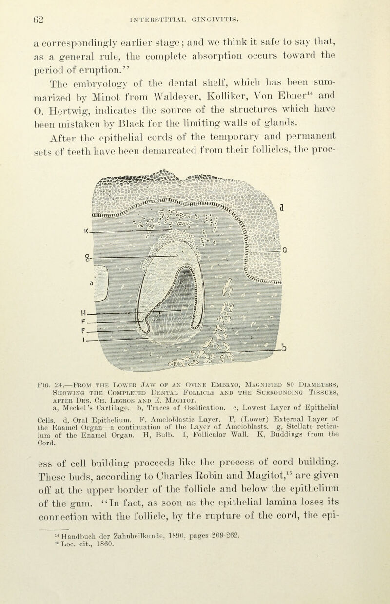 a correspondingly earlier stage; and we think it safe to say that, as a general rule, the complete absorption occurs toward the period of eruption.'' The embryology of the dental shelf, which has been sum- marized by Minot from Waldeyer, Kolliker, Von Ebner and 0. Hertwig, indicates the source of the structures which have been mistaken by Black for the limiting walls of glands. After the epithelial cords of the temporary and permanent sets of teeth have been demarcated from their folUcles, the proc- asxcrnxivv Fjg. 24.—From the Lower Jaw of an Ovine Embryo, Magnified 80 Diameters, Showing the Completed Dental Follicle and the Surrounding Tissues, AFTER DrS. Ch. LeGROS AND E. MaGITOT. a, Meckel's Cartilage, b, Traces of Ossification, c, Lowest Layer of Epithelial Cells, d, Oral Epithelium. F, Ameloblastic Layer. F, (Lower) External Layer of the Enamel Organ—a continuation of the Layer of Ameloblasts. g, Stellate reticu- lum of the Enamel Organ. H, Bulb. I, Follicular Wall. K, Buddings from the Cord. ess of cell building proceeds like the process of cord building. These buds, according to Charles Robin and Magitot,'' are given off at tlie upper border of the follicle and below the epithelium of the gum. In fact, as soon as the epithelial lamina loses its connection with the foUicle, by the rupture of the cord, the epi- Handbuch der Zahnheilkunde, 1890, pages 209-262. «Loc. cit., 1860.