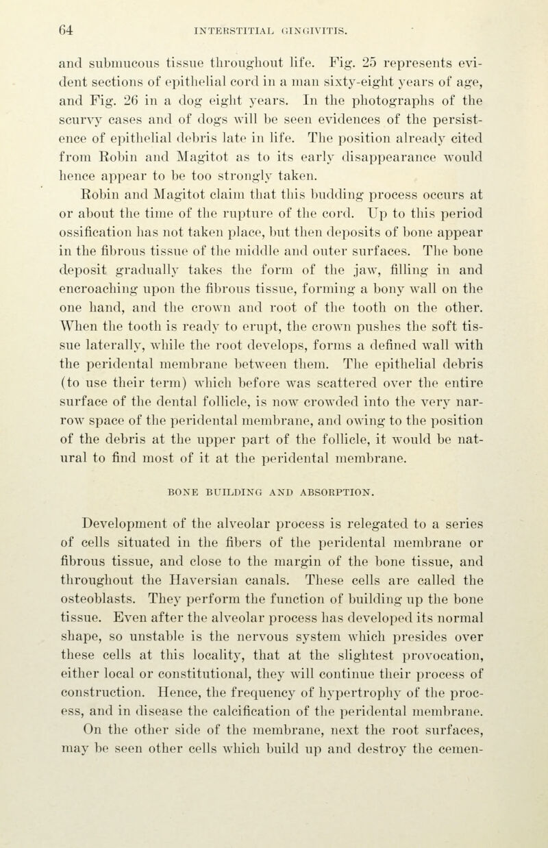 and submucous tissue tliroughout life. Fig. 25 represents evi- dent sections of epithelial cord in a man sixty-eight years of age, and Fig. 26 in a dog eight years. In the photographs of the scurvy cases and of dogs will be seen evidences of the persist- ence of epithelial debris late in life. The position already cited from Eobin and Magitot as to its early disappearance would hence appear to be too strongly taken. Robin and Magitot claim that this budding process occurs at or about the time of the rupture of the cord. Up to this period ossification has not taken place, but then deposits of bone appear in the fibrous tissue of the middle and outer surfaces. The bone deposit gradually takes the form of the jaw, filling in and encroaching upon the fibrous tissue, forming a bony wall on the one hand, and the crown and root of the tooth on the other. When the tooth is ready to erupt, the crown pushes the soft tis- sue laterally, while the root develops, forms a defined wall with the peridental membrane between them. The epithelial debris (to use their term) which before was scattered over the entire surface of the dental follicle, is now crowded into the very nar- row space of the peridental membrane, and owing to the position of the debris at the upper part of the follicle, it would be nat- ural to find most of it at the peridental membrane. BONE BUILDING AND ABSORPTION. Development of the alveolar process is relegated to a series of cells situated in the fibers of the peridental membrane or fibrous tissue, and close to the margin of the bone tissue, and throughout the Haversian canals. These cells are called the osteoblasts. They perform the function of building up the bone tissue. Even after the alveolar process has developed its normal shape, so unstable is the nervous system which presides over these cells at this locality, that at the slightest provocation, either local or constitutional, they will continue their process of construction. Hence, the frequency of hypertrophy of the proc- ess, and in disease the calcification of the peridental membrane. On the other side of the membrane, next the root surfaces, may be seen other cells which build up and destroy the cemen-