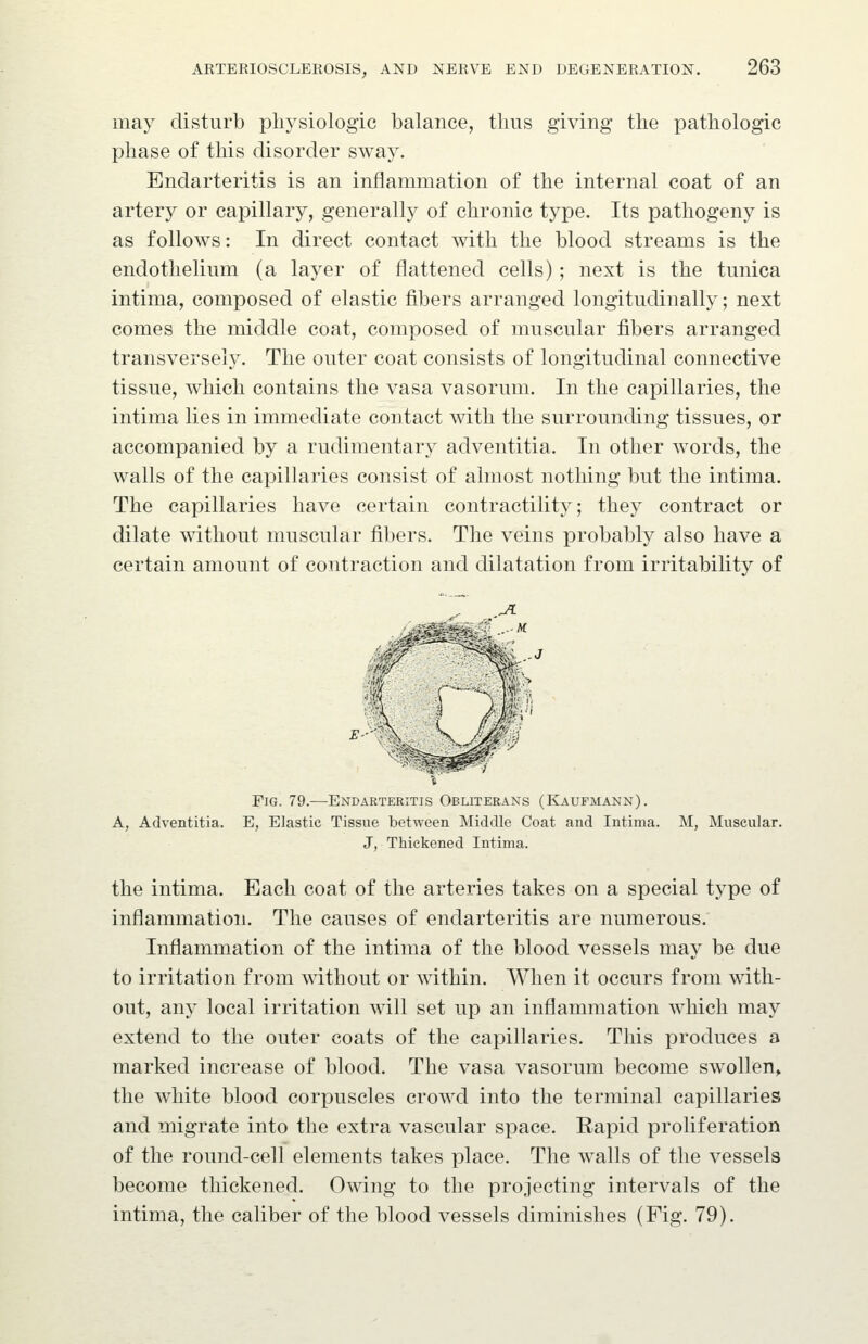 may disturb physiologic balance, thus giving the pathologic phase of this disorder sway. Endarteritis is an inflammation of the internal coat of an artery or capillary, generally of chronic type. Its pathogeny is as follows: In direct contact with the blood streams is the endothelium (a layer of flattened cells); next is the tunica intima, composed of elastic fibers arranged longitudinally; next comes the middle coat, composed of muscular fibers arranged transversely. The outer coat consists of longitudinal connective tissue, which contains the vasa vasorum. In the capillaries, the intima lies in immediate contact with the surrounding tissues, or accompanied by a rudimentary adventitia. In other words, the walls of the capillaries consist of almost nothing but the intima. The capillaries have certain contractility; they contract or dilate without muscular fibers. The veins probably also have a certain amount of contraction and dilatation from irritability of Fig. 79.—Endarteritis Obliterans (Kaufmann). A, Adventitia. E, Elastic Tissue between Middle Coat and Intima. M, Muscular. J, Thickened Intima. the intima. Each coat of the arteries takes on a special type of inflammation. The causes of endarteritis are numerous. Inflammation of the intima of the blood vessels may be due to irritation from without or within. When it occurs from with- out, any local irritation will set up an inflammation which may extend to the outer coats of the capillaries. This produces a marked increase of blood. The vasa vasorum become swollen, the white blood corpuscles crowd into the terminal capillaries and migrate into the extra vascular space. Rapid proliferation of the round-cell elements takes place. The walls of the vessels become thickened. Owing to the projecting intervals of the intima, the caliber of the blood vessels diminishes (Fig. 79).