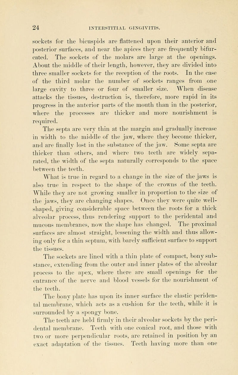 sockets for the bicusj^ids are flattened upon their anterior and posterior surfaces, and near the apices tliey are frequently bifur- cated. The sockets of the molars are large at the openings. About the middle of their length, however, they are divided into three smaller sockets for the reception of the roots. In the case of the third molar the number of sockets ranges from one large cavity to three or four of smaller size. When disease attacks the tissues, destruction is, therefore, more rapid in its progress in the anterior parts of the mouth than in the posterior, where the processes are thicker and more nourishment is requ^ired. The septa are very thin at the margin and gradually increase in width to the middle of the jaw, where they become thicker, and are finally lost in the substance of the jaw. Some septa are thicker than others, and where two teeth are widely sepa- rated, the width of the septa naturally corresponds to the space between the teeth. What is true in regard to a change in the size of the jaws is also true in respect to the shape of the crowns of the teeth. While they are not growing smaller in proportion to the size of the jaws, they are changing shapes. Once they were quite well- shaped, giving considerable space between the roots for a thick alveolar process, thus rendering support to the peridental and mucous membranes, now the shape has changed. The proximal surfaces are almost straight, lessening the width and thus allow- ing only for a thin septum, with barely sufficient surface to sujiport the tissues. The sockets are lined with a thin j^late of compact, bony sub- stance, extending from the outer and inner plates of the alveolar process to the apex, where there are small openings for the entrance of the nerve and blood vessels for the nourishment of the teeth. The bony plate has upon its inner surface the elastic periden- tal membrane, which acts as a cushion for the teeth, while it is surrounded by a spongy bone. The teeth are held firmly in their alveolar sockets by the peri- dental membrane. Teeth with one conical root, and those with two or more perpendicular roots, are retained in position by an exact adaptation of the tissues. Teeth having more than one