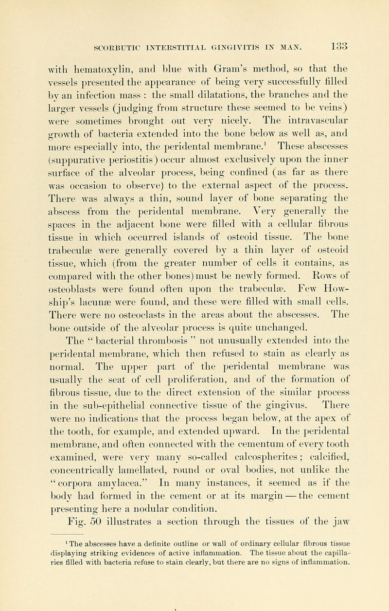 with hematoxylin, and blue with Gram's method, so that the vessels i^resented the appearance of being very successfully filled by an infection mass : the small dilatations, the branches and the larger vessels (judging from structure these seemed to be veins) were sometimes brought out very nicely. The intravascular growth of bacteria extended into the bone below as well as, and more especially into, the peridental membrane.' These abscesses (suppurative periostitis) occur almost exclusively upon the inner surface of the alveolar process, being confined (as far as there was occasion to observe) to the external aspect of the jsrocess. There was always a thin, sound layer of bone separating the abscess from the peridental membrane. Very generally the spaces in the adjacent bone were filled with a cellular fibrous tissue in which occurred islands of osteoid tissue. The bone trabeculse were generally covered by a thin layer of osteoid tissue, which (from the greater number of cells it contains, as compared with the other bones) must be newly formed. Rows of osteoblasts were found often ujion the trabeculse. Few How- ship's lacunae were found, and these were filled with small cells. There were no osteoclasts in the areas about the abscesses. The bone outside of the alveolar process is quite unchanged. The bacterial thrombosis  not unusually extended into the peridental membrane, which then refused to stain as clearly as normal. The upper Y)art of the peridental membrane was usually the seat of cell proliferation, and of the formation of fibrous tissue, due to the direct extension of the similar process in the sub-epithelial connective tissue of the gingivus. There were no indications that the process began below, at the apex of the tooth, for example, and extended upward. In the peridental membrane, and often connected with the cementum of every tooth examined, were very many so-called calcospherites; calcified, concentrically lamellated, round or oval bodies, not unlike the  corpora amylacea. In many instances, it seemed as if the body had formed in the cement or at its margin — the cement presenting here a nodular condition. Fig. 50 illustrates a section through the tissues of the jaw ' The abscesses have a definite outline or wall of ordinary cellular fibrous tissue displaying striking evidences of active inflammation. The tissue about the capilla- ries filled with bacteria refuse to stain clearly, but there are no signs of inflammation.