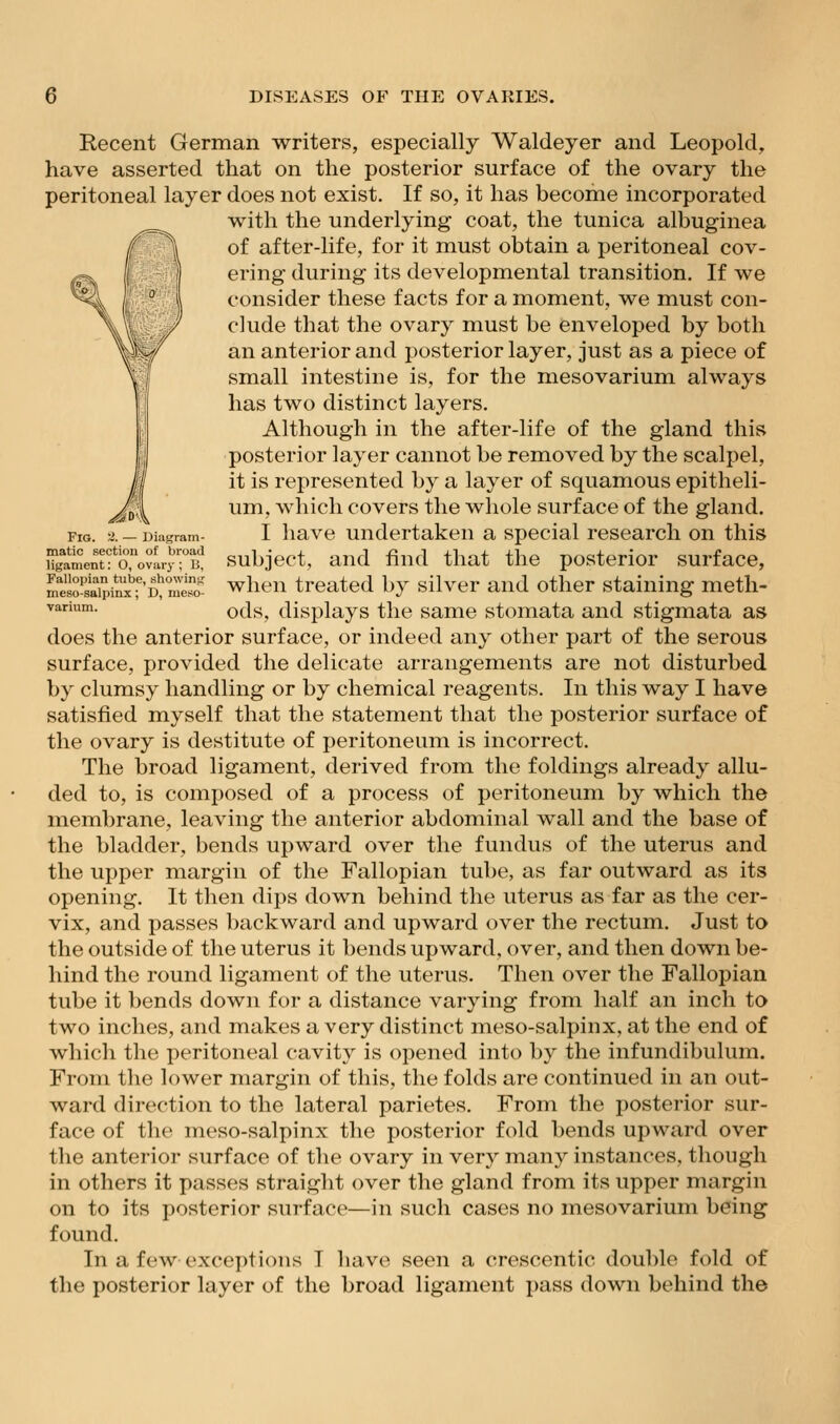 Fig. '-i. — Diagram- matic section of broad ligament: O, ovary ; B, Fallopian tube, showini; meso-salpinx; D, meso- varium. Recent German writers, especially Waldeyer and Leopold, have asserted that on the posterior surface of the ovary the peritoneal layer does not exist. If so, it has become incorporated with the underlying coat, the tunica albuginea of after-life, for it must obtain a peritoneal cov- ering during its developmental transition. If we consider these facts for a moment, we must con- clude that the ovary must be enveloped by both an anterior and posterior layer, just as a piece of small intestine is, for the mesovarium always has two distinct layers. Although in the after-life of the gland this posterior layer cannot be removed by the scalpel, it is represented by a layer of squamous epitheli- um, which covers the whole surface of the gland. I have undertaken a special research on this subject, and find that the posterior surface, when treated by silver and other staining meth- ods, displays the same stomata and stigmata as does the anterior surface, or indeed any other part of the serous surface, provided the delicate arrangements are not disturbed by clumsy handling or by chemical reagents. In this way I have satisfied myself that the statement that the posterior surface of the ovary is destitute of peritoneum is incorrect. The broad ligament, derived from the foldings already allu- ded to, is composed of a process of peritoneum by which the membrane, leaving the anterior abdominal wall and the base of the bladder, bends upward over the fundus of the uterus and the upper margin of the Fallopian tube, as far outward as its opening. It then dips down behind the uterus as far as the cer- vix, and passes backward and upward over the rectum. Just to the outside of the uterus it bends upward, over, and then down be- hind the round ligament of the uterus. Then over the Fallopian tube it bends down for a distance varying from half an inch to two inches, and makes a very distinct meso-salpinx, at the end of which the peritoneal cavit}^ is opened into by the infundibulum. From the lower margin of this, the folds are continued in an out- ward direction to the lateral parietes. From the posterior sur- face of the meso-salpinx the posterior fold bends upward over the anterior surface of the ovary in very many instances, though in others it passes straight over the gland from its upper margin on to its posterior surface—in such cases no mesovarium being found. In a few exceptions I liave seen a crescentic double fold of the posterior layer of the broad ligament pass down behind the