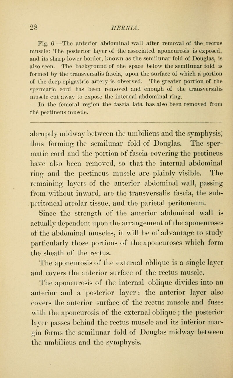 Fig. 6.—The anterior abdominal wall after removal of the rectus muscle: The posterior layer of the associated aponeurosis is exposed, and its sharp lower border, known as the semilunar fold of Douglas, is also seen. The background of the space below the semilunar fold is formed by the transversal is fascia, upon the surface of which a portion of the deep epigastric artery is observed. The greater portion of the spermatic cord has been removed and enough of the transversalis muscle cut away to expose the internal abdominal ring. In the femoral region the fascia lata has also been removed from the pectineus muscle. abruptly midway between the umbilicus and the symphysis, thus forming the semilunar fold of Douglas. The sper- matic cord and the portion of fascia covering the pectineus have also been removed, so that the internal abdominal ring and the pectineus muscle are plainly visible. The remaining layers of the anterior abdominal wall, passing from without inward, are the transversalis fascia, the sub- peritoneal areolar tissue, and the parietal peritoneum. Since the strength of the anterior abdominal w^all is actually dependent upon the arrangement of the aponeuroses of the abdominal muscles, it will be of advantage to study particularly those portions of the aponeuroses which form the sheath of the rectus. The aponeurosis of the external oblique is a single layer and covers the anterior surface of the rectus muscle. The aponeurosis of the internal oblique divides into an anterior and a posterior layer: the anterior layer also covers the anterior surface of the rectus muscle and fuses with the aponeurosis of the external oblique; the posterior layer passes behind the rectus nuiscle and its inferior mar- gin forms the semilunar fold of Douglas midway between the umbilicus and the symphysis.