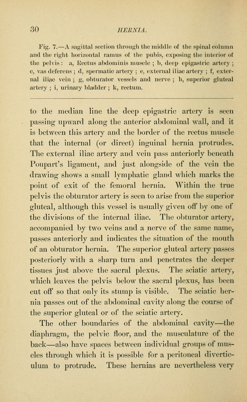 Fig. 7.—A sagittal section through the middle of the spinal column and the right horizontal ramus of the pubis, exposing the interior of the pelvis : a, Kectus abdominis muscle ; b, deep epigastric artery ; c, vas deferens ; d, spermatic artery ; e, external iliac artery ; f, exter- nal iliac vein ; g, oliturator vessels and nerve ; h, superior gluteal artery ; i, urinary bladder ; k, rectum. to the median line the deep epigastric artery is seen passing upward along the anterior abdominal wall, and it is between this artery and the border of the rectus muscle that the internal (or direct) inguinal hernia protrudes. The external iliac artery and vein pass anteriorly beneath Poupart's ligament, and just alongside of the vein the drawing shows a small lymphatic gland which marks the point of exit of the femoral hernia. Within the true pelvis the obturator artery is seen to arise from the superior gluteal, although this vessel is usually given off by one of the divisions of the internal iliac. The obturator artery, accompanied by two veins and a nerve of the same name, passes anteriorly and indicates the situation of the mouth of an obturator hernia. The superior gluteal artery passes posteriorly with a sharp turn and penetrates the deeper tissues just above the sacral plexus. The sciatic artery, which leaves the pelvis below the sacral plexus, has been cut off so that only its stump is visible. The sciatic her- nia passes out of the abdominal cavity along the course of the superior gluteal or of the sciatic artery. The other boundaries of the abdominal cavity—the diaphragm, the pelvic floor, and the musculature of the back—also have spaces between individual groups of mus- cles through which it is possible for a peritoneal divertic- ulum to protrude. These hernias are nevertheless very