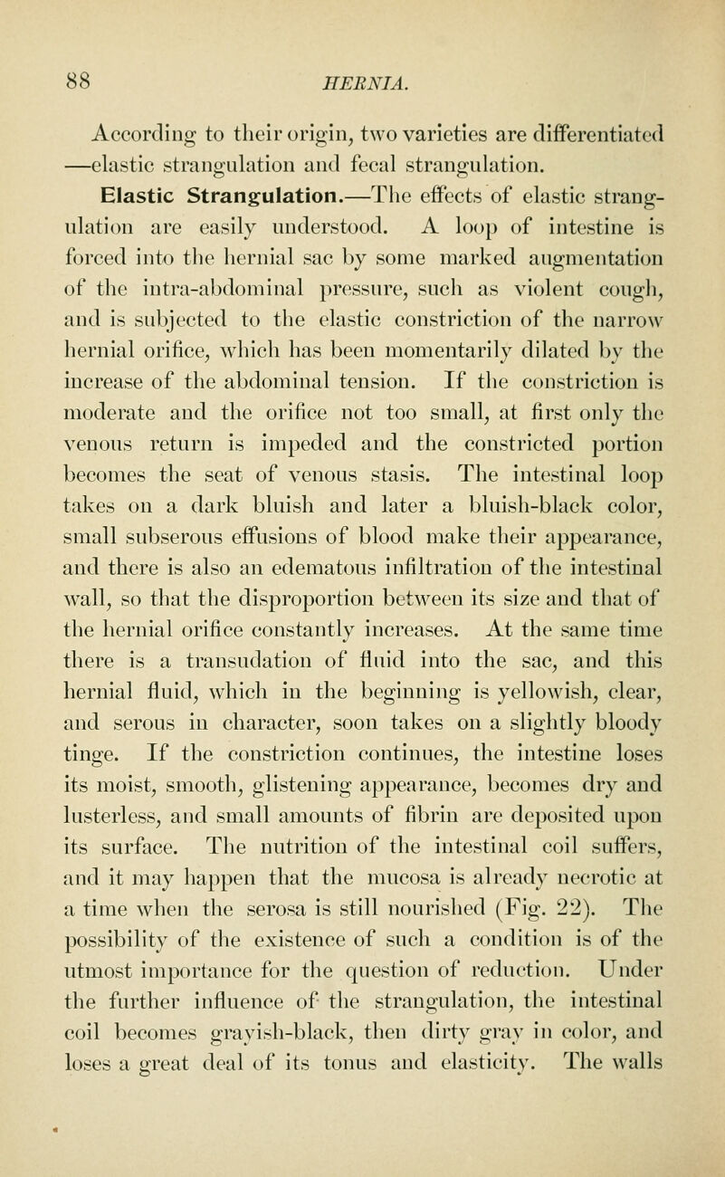 According to their origin, two varieties are diiferentiated —elastic strangulation and fecal strangulation. Elastic Strangulation.—The eiFects of elastic strang- ulation are easily understood. A loop of intestine is forced into the hernial sac by some marked augmentation of the intra-abdominal pressure, such as violent cough, and is subjected to the elastic constriction of the narrow hernial orifice, which has been momentarily dilated by the increase of the abdominal tension. If the constriction is moderate and the orifice not too small, at first only the venous return is impeded and the constricted portion becomes the seat of venous stasis. The intestinal loop takes on a dark bluish and later a bluish-black color, small subserous effusions of blood make their appearance, and there is also an edematous infiltration of the intestinal wall, so that the disproportion between its size and that of the hernial orifice constantly increases. At the same time there is a transudation of fluid into the sac, and this hernial fluid, which in the beginning is yellowish, clear, and serous in character, soon takes on a slightly bloody tinge. If the constriction continues, the intestine loses its moist, smooth, glistening appearance, becomes dry and lusterless, and small amounts of fibrin are deposited upon its surface. The nutrition of the intestinal coil suffers, and it may happen that the mucosa is already necrotic at a time when the serosa is still nourished (Fig. 22). The possibility of the existence of such a condition is of the utmost importance for the question of reduction. Under the further influence of the strangulation, the intestinal coil becomes grayish-black, then dirty gray in color, and loses a great deal of its tonus and elasticity. The walls