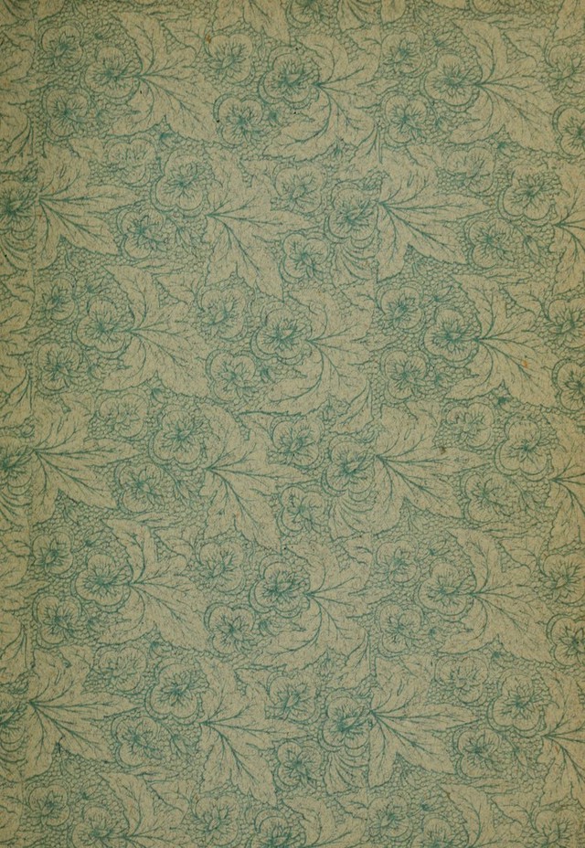 No text description is available for this image