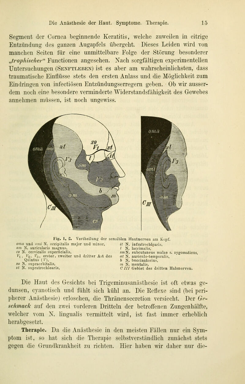 Segment der Cornea beginnende Keratitis, welche zuweilen in eitrige Entzündung des ganzen Augapfels übergeht. Dieses Leiden wird von manchen Seiten für eine unmittelbare Folge der Störung besonderer Jj'ophischei' Functionen angesehen. Nach sorgfältigen experimentellen Untersuchungen (Senftleben) ist es aber am wahrscheinlichsten, dass traumatische Einflüsse stets den ersten Anlass und die Möglichkeit zum Eindringen von infectiösen Entzündungserregem geben. Ob wir ausser- dem noch eine besondere verminderte Widerstandsfähigkeit des Gewebes annehmen müssen, ist noch ungewiss. Fig. 1, -1. Vertheilung der sensiblen Hautnerveii am Kopf. oma und omi N. oeeipitalis major und minor, am N. auricularis magnus, ci N. cervicalis superficialis, ^1. ^2-' ^3i erster, zweiter und dritter Ast des Quintus ( F), so N. snpraorbitalis, st N. supratrochlearis. it N. infratrochlfaris, l N. lacrimalis, smN. subcutaneus malae s. zygomaticus, at N. auriculo-temporalis, h N. buccinatorius, m N. mentalis, cm Gebiet des dritten Halsnerven. Die Haut des Gesichts bei Trigeminusanästhesie ist oft etwas ge- dunsen, cyanotisch und fühlt sich kühl an. Die Reflexe sind (bei peri- pherer Anästhesie) erloschen, die Thränensecretion versiecht. Der Ge- schmack auf den zwei vorderen Dritteln der betroffenen Zungenhälfte, welcher vom N. lingualis vermittelt Avird, ist fast immer erheblich herabgesetzt. Therapie. Da die Anästhesie in den meisten Fällen nur ein Sym- ptom ist, so hat sich die Therapie selbstverständlich zunächst stets gegen die Grundkrankheit zu richten. Hier haben wir daher nur die-