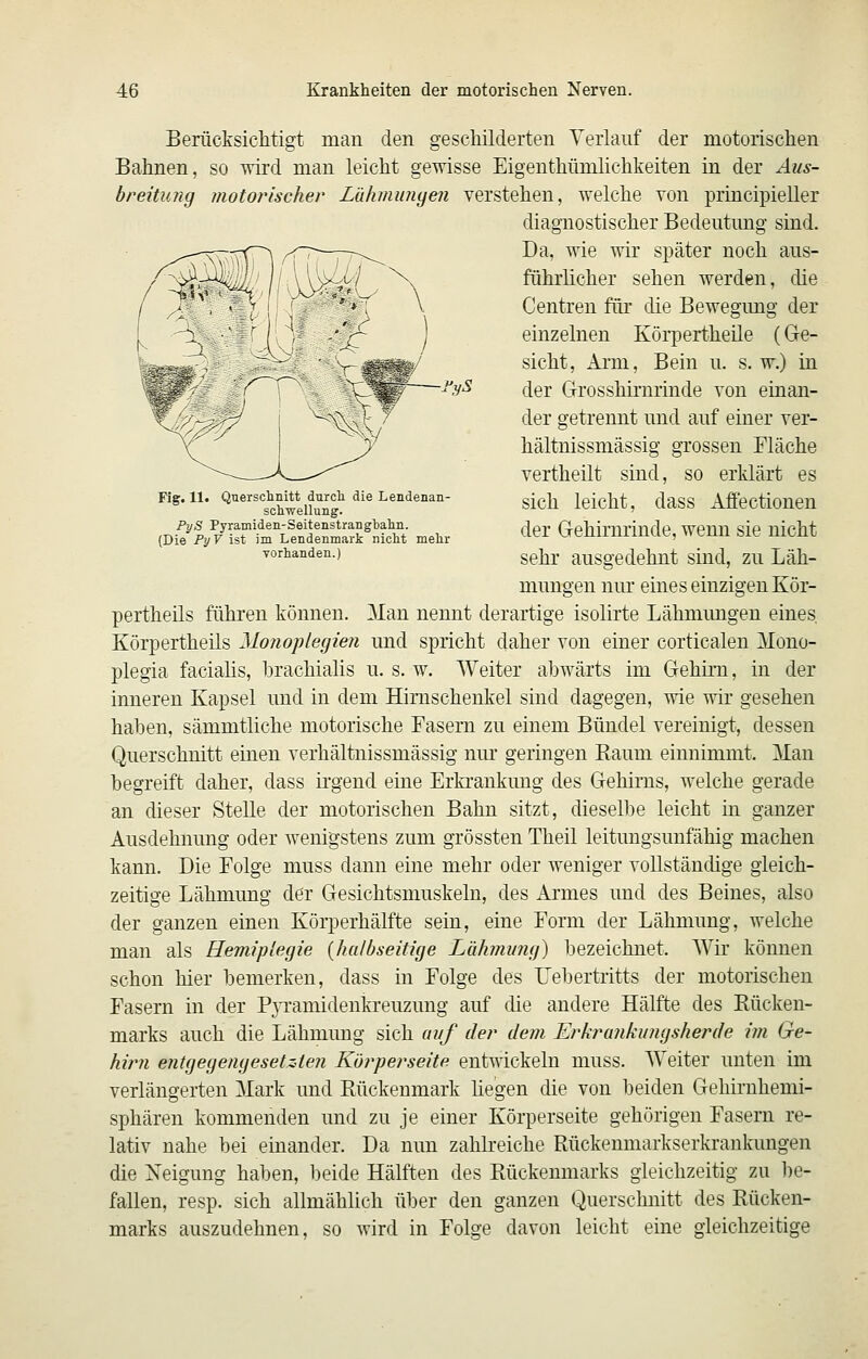 Fig. 11. Quersclinitt durcli die Lendenan- scliwellung. PyS Pyramiden-Seitenstrangbaliii. (Die PyV ist im Lendenmark nicht mehr vorhanden.) Berücksichtigt man den geschilderten Verlauf der motorischen Bahnen, so wird man leicht gewisse Eigenthümlichkeiten in der Aus- breitung motorischer Lähmunyeii verstehen, welche von principieller diagnostischer Bedeutung sind. Da, wie wir später noch aus- führlicher sehen werden, die Centren für die Bewegung der einzelnen Körpertheile (Ge- sicht, Arm, Bein u. s. w.) in der Grosshimrinde von einan- der getrennt und auf einer ver- hältnissmässig grossen Fläche vertheilt sind, so erklärt es sich leicht, dass Affectionen der Gehirnrinde, wenn sie nicht sehr ausgedehnt sind, zu Läh- mungen nur eines einzigen Kör- pertheils führen können. Man nennt derartige isolirte Lähmungen eines, Körpertheils Mofioplegien und spricht daher von einer corticalen Mono- plegia facialis, hrachialis u. s. w. Weiter abwärts im Gehirn, in der inneren Kapsel und in dem Himschenkel sind dagegen, wie wir gesehen haben, sämmtliche motorische Fasern zu einem Bündel vereinigt, dessen Querschnitt einen verhältnissmässig nur geringen Raum einnimmt. Man begreift daher, dass irgend eine Erkrankung des Gehirns, welche gerade an dieser Stelle der motorischen Bahn sitzt, dieselbe leicht m ganzer Ausdehnung oder wenigstens zum grössten Theil leitungsunfähig machen kann. Die Folge muss dann eine mehr oder weniger vollständige gleich- zeitige Lähmung der Gesichtsmuskeln, des Armes und des Beines, also der ganzen einen Körperhälfte sein, eine Form der Lähmung, welche man als Hemiplegie {halbseitige Lähmimg) bezeichnet. Wir können schon hier bemerken, dass in Folge des Uebertritts der motorischen Fasern in der PjTamidenkreuzung auf die andere Hälfte des Rücken- marks auch die Lähmung sich auf der dem Erhrankungsherde im Ge- hirn entgegengesetzten Körperseite entwickeln muss. Weiter unten im verlängerten Mark und Rückenmark hegen die von beiden Gehirnhemi- sphären kommenden und zu je einer Körperseite gehörigen Fasern re- lativ nahe bei einander. Da nun zahkeiche Rückenmarkserkrankungen die Neigung haben, beide Hälften des Rückenmarks gleichzeitig zu be- fallen, resp. sich allmählich über den ganzen Querschnitt des Rücken- marks auszudehnen, so wird in Folge davon leicht eine gleichzeitige