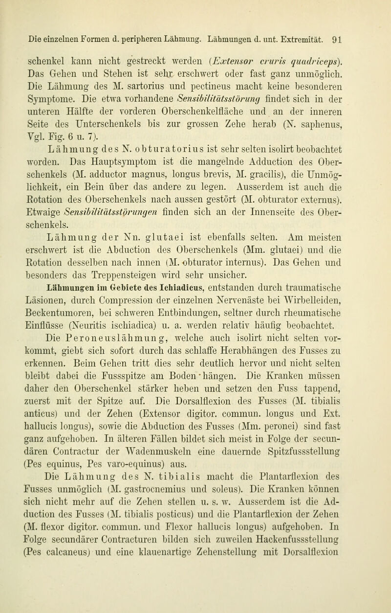 Schenkel kann nicht gestreckt werden [Ecctensor cniris quadriceps). Das Gehen und Stehen ist sely: erschwert oder fast ganz unmöglich. Die Lähmung des M. sartorius und pectineus macht keine besonderen Symptome. Die etwa vorhandene Sensibilitütsstdnimj findet sich in der unteren Hälfte der vorderen Oberschenkelfläche und an der inneren Seite des Unterschenkels bis zur grossen Zehe herab (IST, saphenus, Vgl. Fig. 6 u. 7). Lähmung des N. obturatorius ist sehr seltenisolirt beobachtet worden. Das Hauptsymptom ist die mangelnde Adduction des Ober- schenkels (M. adductor magnus, longus brevis, M. gracilis), die Unmög- lichkeit, ein Bein über das andere zu legen. Ausserdem ist auch die Eotation des Oberschenkels nach aussen gestört (M. obturator externus). Etwaige SensibüitätsstQi^ungen finden sich an der Innenseite des Ober- schenkels. Lähmung der Nn. glutaei ist ebenfalls selten. Am meisten erschwert ist die Abduction des Oberschenkels (Mm. glutaei) und die Rotation desselben nach innen (M. obturator internus). Das Gehen und besonders das Treppensteigen wird sehr unsicher. Lähmungen im Gebiete des Ichiadicus, entstanden durch traumatische Läsionen, durch Compression der einzelnen Nervenäste bei Wirbelleiden, Beckentumoren, bei schweren Entbindungen, seltner durch rheumatische Einflüsse (Neuritis ischiadica) u. a. werden relativ häufig beobachtet. Die Peroneuslähmung, welche auch isolirt nicht selten vor- kommt, giebt sich sofort durch das schlaffe Herabhängen des Fusses zu erkennen. Beim Gehen tritt dies sehr deutlich hervor und nicht selten bleibt dabei die Fussspitze am Boden • hängen. Die Kranken müssen daher den Oberschenkel stärker heben und setzen den Fuss tappend, zuerst mit der Spitze auf. Die Dorsalflexion des Fusses (M. tibialis anticus) und der Zehen (Extensor digitor. commun. longus und Ext. hallucis longus), sowie die Abduction des Fusses (Mm. peronei) sind fast ganz aufgehoben. In älteren Fällen bildet sich meist in Folge der secun- dären Contractur der Wadenmuskeln eine dauernde Spitzfussstellung (Pes equinus, Pes varo-equinus) aus. Die Lähmung des N. tibialis macht die Plantarflexion des Fusses unmöglich (M. gastrocnemius und soleus). Die Kranken können sich nicht mehr auf die Zehen stellen u. s. w. Ausserdem ist die Ad- duction des Fusses (M. tibialis posticus) und die Plantarflexion der Zehen (M. flexor digitor. commun. und Flexor hallucis longus) aufgehoben. In Folge secundärer Contracturen bilden sich zuweilen Hackenfussstellung (Pes calcaneusj und eine klauenartige Zehenstellung mit Dorsalflexion