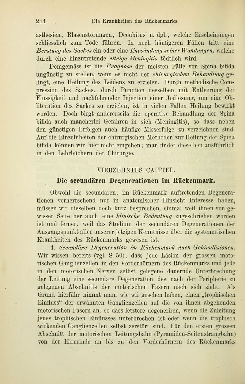 ästhesien, Blasenstörungen, Decubitus u. dgl., welche Erscheinungen schhesshch zum Tode führen. In noch häufigeren Fällen tritt eine Berstung des Sackes ein oder eine Enizünduny seinerWandungen, welche durch eine hinzutretende eitrige Meningitis tödtlich wird. Demgemäss ist die Prognose der meisten Fälle von Spina bifida ungünstig zu stellen, wenn es nicht der chirurgischen Behandlung ge- lingt, eine Heilung des Leidens zu erzielen. Durch methodische Com- pression des Sackes, durch Function desselben mit Entleerung der Flüssigkeit und nachfolgender Injection einer Jodlösung, um eine Ob- literation des Sackes zu erzielen, ist in vielen Fällen Heilung bewirkt worden. Doch birgt andererseits die operative Behandlung der Spina bifida auch mancherlei Gefahren in sich (Meningitis), so dass neben den günstigen Erfolgen auch häufige Misserfolge zu verzeichnen sind. Auf die Einzelnheiten der chirurgischen Methoden zur Heilung der Spina bifida können wir hier nicht eingehen; mau findet dieselben ausführlich in den Lehrbüchern der Chirurgie. VIERZEHNTES CAPITEL. Die secundären Degenerationen im Rückenmark. Obwohl die secundären, im Rückenmark auftretenden Degenera- tionen vorherrschend nur in anatomischer Hinsicht Interesse haben, müssen wir dieselben doch kurz besprechen, einmal weil ihnen von ge- wisser Seite her auch eine klinische Bedeutung zugeschrieben worden ist und femer, weil das Studium der secundären Degenerationen der Ausgangspunkt aller unserer jetzigen Kenntnisse über die systematischen Krankheiten des Rückenmarks gewesen ist. 1. Secund'äre Degeneration im Rückenmark nach Gehirnläsionen. Wir wissen bereits (vgl. S. 50), dass jede Läsion der grossen moto- rischen Ganglienzellen in den Vorderhömem des Rückenmarks und jede in den motorischen Nerven selbst gelegene dauernde Unterbrechung der Leitung eine secundäre Degeneration des nach der Peripherie zu gelegenen Abschnitts der motorischen Fasern nach sich zieht. Als Grund hierführ nimmt man, wie wir gesehen haben, einen „trophischen Einfiuss der erwähnten Ganglienzellen auf die von ihnen abgehenden motorischen Fasern an, so dass letztere degeneriren, wenn die Zuleitung jenes trophischen Einflusses unterbrochen ist oder wenn die trophisch wirkenden Ganglienzellen selbst zerstört sind. Für den ersten grossen Abschnitt der motorischen Leitungsbahn (Pyramiden-Seitenstrangbahn) von der Hirnrinde an bis zu den Yorderhömern des Rückenmarks