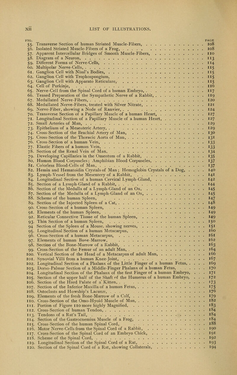 FIG. PAGE 55. Transverse Section of human Striated Muscle-Fibers, 108 56. Isolated Striated Muscle-Fibers of a Frog, 108 57. Apparent Intercellular Bridges of Smooth Muscle-Fibers, iio 58. Diagram of a Neuron, 113 59. Different Forms of Nerve-Cells, 114 60. Multipolar Nerve-Cells, 115 61. Ganglion Cell with Nissl's Bodies, 115 62. Ganglion Cell with Trophospongium, 115 63. Ganglion Cell with Apparato Reticulare, IIS 64. Cell of Purkinje, II6 65. Nerve-Cell from the Spinal Cord of a human Embryo, I17 66. Teased Preparation of the Sympathetic Nerve of a Rabbit, 119 67. Medullated Nerve-Fibers, .• 120 68. Medullated Nerve-Fibers, treated with Silver Nitrate I2[ 69. Nerve-Fiber, showing a Node of Ranvier, . . 124 70. Transverse Section of a Papillary Muscle of a human Heart, 127 71. Longitudinal Section of a Papillary Muscle of a human Heart, 127 72. Small Arteries of Man, 129 73. Epithelium of a Mesenteric Artery, 129 74. Cross-Section of the Brachial Artery of Man, 130 75. Cross-Section of the Thoracic Aorta of Man, 131 76. Cross-Section of a human Vein, 133 77. Elastic Fibers of a human Vein, 133 78. Section of the Renal Vein of Man. 134 79. Developing Capillaries in the Omentum of a Rabbit, 135 80. Human Blood Corpuscles; Amphibian Blood Corpuscles 137 81. Colorless Blood-Cells of Man, 137 82. Hemin and Hematoidin Crystals of Man; Hemoglobin Crystals of a Dog, .... 140 83. Lymph-Vessel from the Mesentery of a Rabbit, 141 84. Longitudinal Section of a human Cervical Lymph-Gland, 142 85. Section of a Lymph-Gland of a Rabbit, 144 86. Section of the Medulla of a Lymph-Gland of an Ox, I4S 87. Section of the Medulla of a Lymph-Gland of an Ox, 145 88. Scheme of the human Spleen, 147 89. Section of the Injected Spleen of a Cat, . . . • 148 90. Cross-Section of a human Spleen, 149 91. Elements of the human Spleen, I49 92. Reticular Connective Tissue of the human Spleen, 149 93. Thin Section of a human Spleen, 150 94 Section of the Spleen of a Mouse, showing nerves, IS'' 95. Longitudinal Section of a human Metacarpus, 160 96. Cross-Section of a human Metacarpus, l6l 97. Elements of human Bone-Marrow, 162 98. Section of the Bone-Marrow of a Rabbit, 163 99. Cross-Section of the Femur of an adult Man, . 164 100. Vertical Section of the Head of a Metacarpus of adult Man, 166 loi. Synovial Villi from a human Knee-joint, 167 102. Longitudinal Section of a Phalanx of the Little Finger of a human Fetus, .... 169 103. Dorso-Palmar Section of a Middle-Finger Phalanx of a human Fetus, 170 104. Longitudinal Section of the Phalanx of the first Finger of a human Embryo, . . . 171 105. Section of the upper half of the Shaft of the Humerus of a human Embryo, . . . 172 106. Section of the Hard Palate of a' Kitten >73 107. Section of the Inferior Maxilla of a human Fetus, 175 108. Ostoclasts and Howship's Lacunae, ... 176 109. Elements of the fresh Bone-Marrow of a Calf, 179 no. Cross-Section of the Omo-Hyoid Muscle of Man, 182 III. Portion of Figure no more highly Magnified, 183 1X2. Cross-Section of human Tendon, 184 113. Tendons of a Rat's Tail, 184 114. Section of the Gastrocnemius Muscle of a Frog, 184 115. Cross-Section of the human Spinal Cord, 188 1x6. Motor Nerve-Cells from the Spinal Cord of a Rabbit, 190 117. Cross-Section of the Spinal Cord of an Embryo Chick, 191 118. Scheme of the Spinal Cord, 192 XI9. Longitudinal Section of the Spinal Cord of a Rat, 193 120. Section of the Spinal Cord of a Rat, showing Collaterals, 194