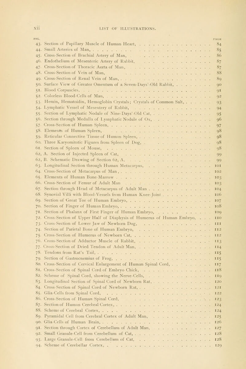 43. Section of Papillary Muscle of Human Heart 84 44. Small Arteries of Man, 85 45. Cross-Section of Brachial Artery of Man, ... 86 46. Endothelium of Mesenteric Artery of Rabbit, 87 47. Cross-Section of Thoracic Aorta of Man, 87 48. Cross-Section of Vein of Man, 88 49. Cross-Section of Renal Vein of Man, Sg 50. Surface View of tlreater Omentum of a Seven-Days'-Old Kabliit 90 51. Blood Corpuscles 91 52. Colorless Blood-Cells of Man, . . 92 53. Hemin, Hematoidin, Hemoglobin Crystals; Crystals of Common Salt, 93 54. Lymphatic Vessel of Mesentery of Rabbit, 94 55. Section of Lymphatic Nodule of Nine-Days'-Old Cat 95 56. .Section through Medulla of Lymphatic Nodule of Ox, 96 57. Cross-.Section of Human Spleen, 97 58. Elements of Human Spleen, 98 59. Reticular Connective Tissue of Humnn .Spleen .... 98 60. Three Karyomitotic Figures from Sjileen of Dog, . 98 61. Section of .Spleen of Mouse, 98 62. A. Section of Injected Spleen of Cat, 99 62. B. Schematic Drawing of Section 62, A. .. 99 63. Longitudinal Section through Human Metacarpus, . . 64. Cross-Section of Metacarpus of Man 65. Elements of Human Bone-Marrow ... 66. Cross-Section of Femur of Adult Man 67. Section through Head of Metacarpus of Adult Man 104 68. Synovial Villi with Blood-Vessels from Human Knee-joint 106 69. Section of Oreat Toe of Human Embryo, 107 70. Section of Finger of Human Embryo, loS 71. Section of Phalanx of First Finger of Human Embryo, tog 72. Cross-Section of U|iper Half of Diaphysis of Humerus of Human Embryo. . . 73. Cross-Section of Lower Jaw of Newborn Dog 74. Section of Parietal Bone of Human Embr)0, 75. Cross-Section of Humerus of Newborn Cat • . 76. Cross-Section of Adductor Muscle of Rabbit, 77. Cross-Section of Dried Tendon of Adult Man 114 78. Tendons from Rat's Tail 115 79. Section of Gastrocnemius of Frog 115 So. Cross-Section of Cervical Enlargement of Human Spinal Cord, . . ■ 117 81. Cross-Section of Spinal Cord of Embryo Chick, 82. .Scheme of Spinal Cord, showing the Nerve-Cells, . . 83. Longitudinal .Section of Spinal Cord of Newborn Rat. 84. Cross-Section of Spin.al Cord of Newborn Rat 85. Glia-Cells from Spinal Cord 86. Cross-Section of Human Spinal Cord, 87. Section of Human Cerebral Corte.t, 124 88. Scheme of Cerebral Cortex, 124 89. Pyramidal Cell from Cerebral Cortex of .^dult Man, 125 90. Glia-Cells of Human Brain, 126 91. Section through Cortex of Cerebellum of Adult Man. . . 127 92. Small Granule-Cell from Cerebellum of Cat 128 93. Large Granule-Cell from Cerebellum of Cat, 128 94. Scheme of Cerebellar Cortex .