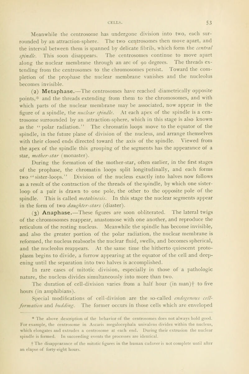 Meanwhile the ceiitrosome has undergone division into two, each sur- rounded by an attraction-sphere. The two centrosomes then move apart, and the interval between them is spanned by delicate filirils, which form the central spindle. This soon disappears. The centrosomes continue to move apart along the nuclear membrane through an arc of 90 degrees. The threads ex- tending from the centrosomes to the chromosomes persist. Toward the com- pletion of the prophase the nuclear membrane vanishes and the nucleolus becomes invisible. (2) Metaphase.—The centrosomes have reached diametrically opjjosite points,* and the threads extending from them to the chromosomes, and with which parts of the nuclear membrane may be a.ssociated, now appear in the figure of a spindle, the nuclear spindle. At each apex of the spindle is a cen- trosome surrounded by an attraction-sphere, which in this stage is also known as the  polar radiation. The chromatin loops move to the equator of the spindle, in the future plane of division of the nucleus, and arrange themselves with their clo.sed ends directed toward the axis of the spindle. Viewed from the apex of the spindle this grouping of the segments has the appearance of a star, mother-star (monaster). During the formation of the mother-star, often earlier, in the first stages of the prophase, the chromatin loops split longitudinally, and each forms two sister-loops. Division of the nucleus exactly into halves now follows as a result of the contraction of the threads of the spindle, by which one sister- loop of a ])air is drawn to one pole, the other to the opposite pole of the spindle. This is called metakinesis. In this stage the nuclear segments ajjpear in the form of two daughter-stars (diaster). (3) Anaphase.—These figures are soon obliterated. The lateral twigs of the chromo.somes reappear, anastomose with one another, and reproduce the reticulum of the resting nucleus. Meanwhile the spindle has become invisible, and also the greater portion of the polar radiation, the nuclear membrane is reformed, the nucleus reabsorbs the nuclear fluid, swells, and becomes spherical, and the nucleolus reappears. .At the same time the hitherto quiescent proto- plasm begins to divide, a furrow appearing at the equator of the cell and deep- ening until the separation into two halves is accomplished. In rare cases of mitotic division, especially in those of a jiathologic nature, the nucleus divides simultaneously into more than two. The duration of cell-division varies from a half hour (in man)f to five hours (in amphibians). Special modifications of cell-division are the so-called endogenous cell- formation and budding. The former occurs in those cells which are enveloped * The above description of the behavior of the centrosomes does not always liold good. For example, the centrosome in Ascaris megalocephala univalens divides within the nucleus, which elongates and extrudes a centrosome at each end. During their extrusion the nuclear spindle is formed. In succeeding events the processes are identical. t rhe disappearance of the mitotic figures in the human cad.iveris not complete until after an elapse of forty-eight hours.