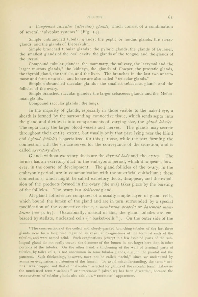 2. Compound saccular {alveolar) glands, which consist of a combination of several  alveolar systems  (Fig. 14J. Simple unbranchcd tubular s'ands: the peptic or fundus glands, the sweat- glands, and the glands of Lieberkiihn. Simple branched tubular glands : the pyloric glands, the glands of Brunner, the smallest glands of the oral cavity, the glands of the tongue, and the glands of the uterus. Compound tubular glands : the mammary, the salivary, the lacrymal and the larger mucous glands,* the kidneys, the glands of Cowper, the prostatic glands, the thyroid gland, the testicle, and the liver. The branches in the last two anasto- mose and form networks, and hence are also called reticular glands. Simple unbranched saccular glands: the smallest sebaceous glands and the follicles of the ovary. Simple branched saccular glands: the larger sebaceous glands and the Meibo- mian glands. Compound saccular glands : the lungs. In the majority of glands, especially in those visible to the naked eye, a sheath is formed by the surrounding connective tissue, which sends septa into the gland and divides it into compartments of varying size, the gland lobules. The septa carry the larger blood-vessels and nerves. The glands may secrete throughout their entire e.xtent, but usually only that part lying near the blind end {gland follicle) is specialized for this purpose, while the part forming the connection with the surface serves for the conveyance of the secretion, and is called excretory duct. Glands without excretory ducts are the thyroid body and the ovary. The former has an excretory duct in the embryonic period, which disappears, how- ever, in the course of development. The gland follicles of the ovary, in the embryonic period, are in communication with the sujierficial epithelium; these connections, which might be called e.xcretory ducts, disappear, and the expul- sion of the products formed in the ovary (the ova) takes place by the bursting of the follicles. The ovary is a dehiscent gland. All gland follicles are composed of a usually simple layer of gland cells, which bound the lumen of the gland and are in turn surrounded by a special modification of the connective tissue, a membrana propria or basement mem- brane (see p. 67). Occasionally, instead of this, the gland tubules are em- braced by stellate, nucleated cells ( basket-cells ). On the outer side of the *The cross-sections of the coiled and closely-packed branching tubules of the last three glands were for a long time regarded as vesicular evaginatioiis of the terminal ends of the tubules, and were named acini. Such evaginations (except in a few isolated parts of the sub- lingual gland do not really occur; the diameter of the lumen is not larger here than in other portions of the tubules. Un the other hand, a thickening of the wall of terminal parts of tubules, by taller cells, is not uncommon in some tubular glands, e. g., in the parotid and the pancreas. Such thickenings, however, must not be called  acini, since we understand by acinus an evagination, a distention of the lumen. To avoid misunderstanding, the term aci- nus  was dropiwd and that of  alveolus  selected for glands of the saccular form. Likewise the much-used term acinous or racemose (alveolar) has been discarded, because the cross-sections of lulmlar glands also exhibit a  racemose  appearance.