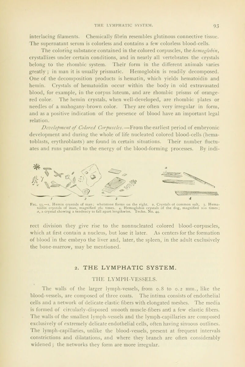 interlacing filaments. Chemically fibrin resembles glutinous connective tissue. The supernatant serum is colorless and contains a few colorless blood-cells. The coloring substance contained in the colored corpuscles, x!nt hemoglobin, crystallizes under certain conditions, and in nearly all vertebrates the crystals belong to the rhombic system. Their form in the different animals varies greatly ; in man it is usually prismatic. Hemoglobin is readily decomposed. One of the decomposition products is hematin, which yields hematoidin and hemin. Crystals of hematoidin occur within the body in old extravasated blood, for example, in the corpus luteum, and are rhombic prisms of orange- red color. The hemin crystals, when well-developed, are rhombic plates or needles of a mahogany-brown color. They are often very irregular in form, and as a positive indication of the presence of blood have an important legal relation. Development of Colored Corpuscles.—From the earliest period of embryonic development and during the whole of life nucleated colored blood-cells (hema- toblasts, erythroblasts) are found in certain situations. Their number fluctu- ates and runs parallel to the energy of the blood-forming processes. By indi- FlG. 53.—I. Hemin crystals of man; whetstone forms on the right. 3. Crystals ol ( toidin crystals of man, magnified 560 times. 4. Hemoglobin crystals of the dog, magnified ico times; *T, a crystal showing a tendency to fall apart lengthwise. Techn. No. 44. rect division they give rise to the nonnucleated colored blood-corpuscles, which at first contain a nucleus, but lose it later. As centers for the formation of blood in the embryo the liver and, later, the spleen, in the adult exclusively the bone-marrow, may be mentioned. 2. THE LYMPHATIC SYSTEM. THE LVMPH-VESSELS. The walls of the larger lymph-vessels, from 0.8 to 0.2 mm., like the blood-vessels, are composed of three coats. The intima consists of endothelial cells and a network of delicate elastic fibers with elongated meshes. The media is formed of circularly-disposed smooth muscle-fibers and a few elastic fibers. The walls of the smallest lymph-vessels and the lymph-capillaries are composed exclusively of extremely delicate endothelial cells, often having sinuous outlines. The lymph-capillaries, unlike the blood-vessels, present at frequent intervals constrictions and dilatations, and where they branch are often considerably widened ; the networks they form are more irregular.