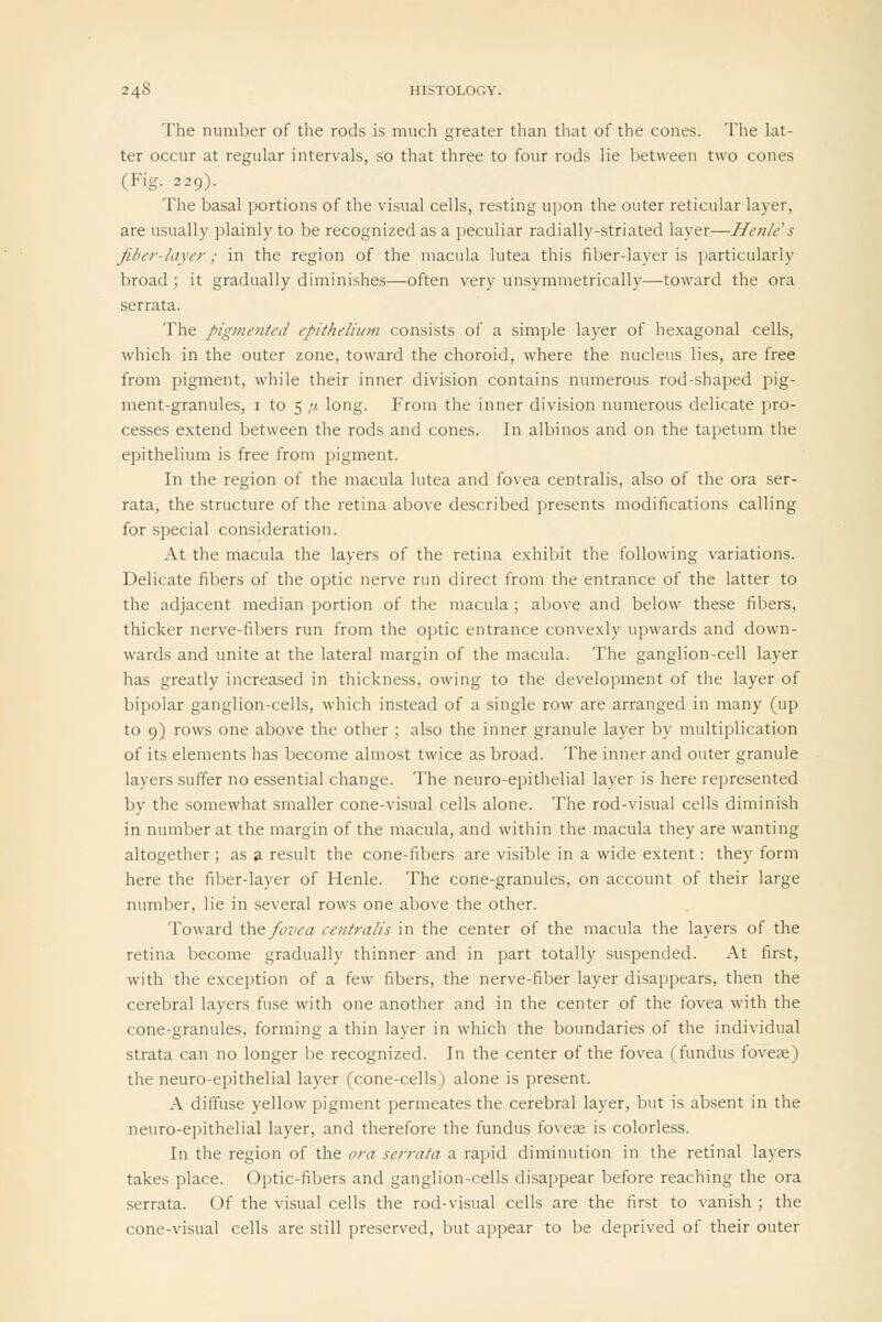 The number of the rods is much greater than that of the cones. The lat- ter occur at regular intervals, so that three to four rods lie between two cones (Fig. 229). The basal portions of the visual cells, resting upon the outer reticular layer, are usually plainly to be recognized as a peculiar radially-striated layer—Hcnle s fiber-layer; in the region of the macula lutea this fiber-layer is particularly broad ; it gradually diminishes—often very unsymmetrically—toward the era serrata. The pigmented epitheliiDii consists of a simple layer of hexagonal cells, which in the outer zone, toward the choroid, where the nucleus lies, are free from pigment, while their inner division contains numerous rod-shaped pig- ment-granules, I to 5 IX long. From the inner division numerous delicate pro- cesses extend between the rods and cones. In albinos and on the tapetum the epithelium is free from pigment. In the region of the macula lutea and fovea centralis, also of the ora ser- rata, the structure of the retina above described presents modifications calling for special consideration. At the macula the layers of the retina exhibit the following variations. Delicate fibers of the optic nerve run direct from the entrance of the latter to the adjacent median portion of the macula; above and below these fibers, thicker nerve-fibers run from the optic entrance convexly upwards and down- wards and unite at the lateral margin of the macula. The ganglion-cell layer has greatly increased in thickness, owing to the development of the layer of bipolar ganglion-cells, which instead of a single row are arranged in many (up to 9) rows one above the other ; also the inner granule layer by multiplication of its elements has become almost twice as broad. The inner and outer granule layers suffer no essential change. The neuro-epithelial layer is here represented by the somewhat smaller cone-visual cells alone. The rod-visual cells diminish in number at the margin of the macula, and within the macula they are wanting altogether ; as a result the cone-fibers are visible in a wide extent: they form here the fiber-layer of Henle. The cone-granules, on account of their large number, lie in several rows one above the other. Toward 'C<\t fovea centralis in the center of the macula the layers of the retina become gradually thinner and in part totally suspended. At first, with the exception of a few fibers, the nerve-fiber layer disappears, then the cerebral layers fuse with one another and in the center of the fovea with the cone-granules, forming a thin layer in which the boundaries of the individual strata can no longer be recognized. In the center of the fovea (fundus fovea) the neuroepithelial layer (cone-cells) alone is present. A diffuse yellow pigment permeates the cerebral layer, but is absent in the neuro-epithelial layer, and therefore the fundus foveje is colorless. In the region of the ora serrata a rapid diminution in the retinal layers takes place. Optic-fibers and ganglion-cells disappear before reaching the ora serrata. Of the visual cells the rod-visual cells are the first to vanish ; the cone-visual cells are still preserved, but appear to be deprived of their outer