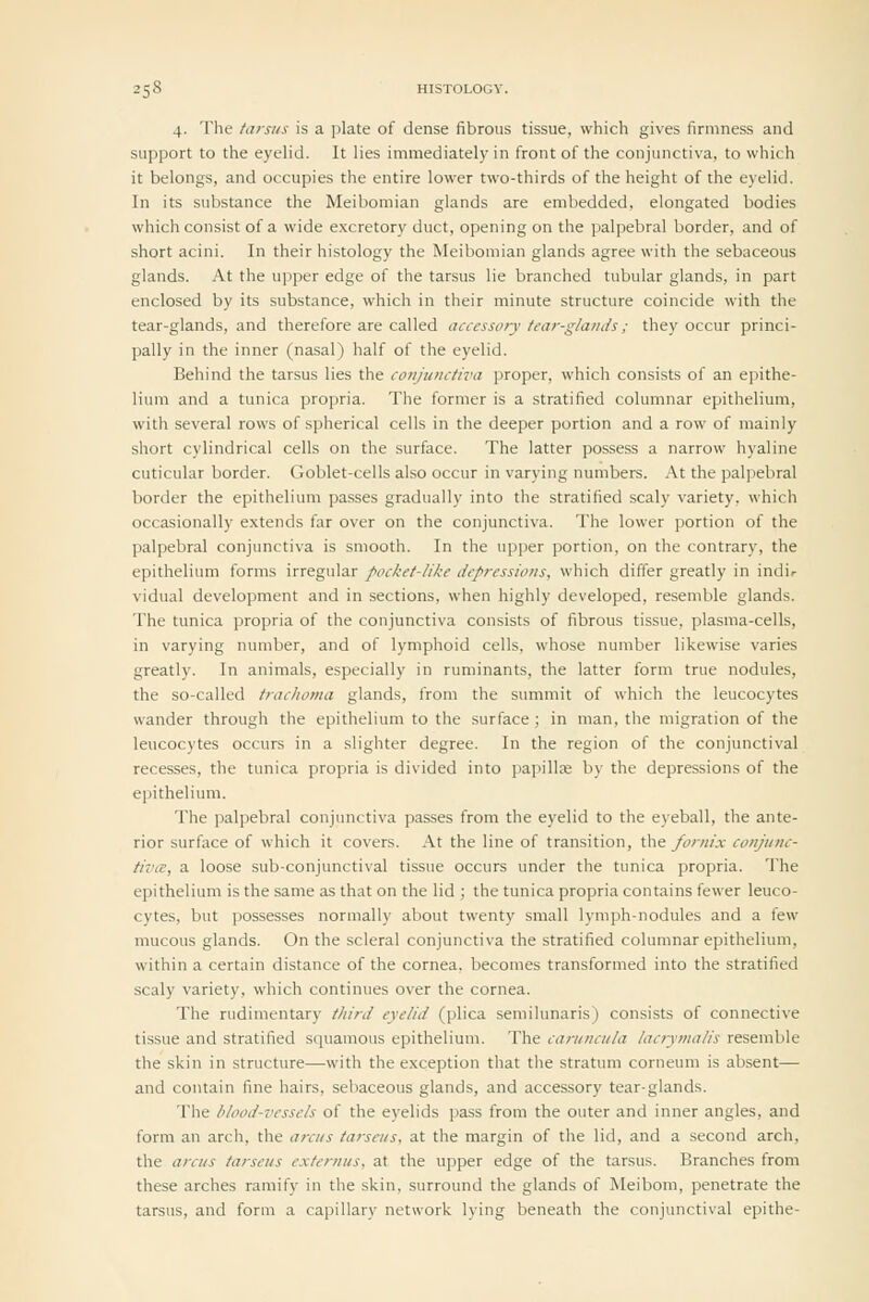 4. The farsiis is a plate of dense fibrous tissue, which gives firmness and support to the eyelid. It lies immediately in front of the conjunctiva, to which it belongs, and occupies the entire lower two-thirds of the height of the eyelid. In its substance the Meibomian glands are embedded, elongated bodies which consist of a wide excretory duct, opening on the palpebral border, and of short acini. In their histology the Meibomian glands agree with the sebaceous glands. At the upper edge of the tarsus lie branched tubular glands, in part enclosed by its substance, which in their minute structure coincide with the tear-glands, and therefore are called accessory tear-glands; they occur princi- pally in the inner (nasal) half of the eyelid. Behind the tarsus lies the conjtinctiva proper, which consists of an ejiithe- lium and a tunica propria. The former is a stratified columnar epithelium, with several rows of spherical cells in the deeper portion and a row of mainly short cylindrical cells on the surface. The latter possess a narrow hyaline cuticular border. Goblet-cells also occur in varying numbers. At the palpebral border the epithelium passes gradually into the stratified scaly variety, which occasionally extends far over on the conjunctiva. The lower portion of the palpebral conjunctiva is smooth. In the upper portion, on the contrary, the epithelium forms irregular pocket-like depressions, which differ greatly in indir vidual development and in sections, when highly developed, resemble glands. The tunica propria of the conjunctiva consists of fibrous tissue, plasma-cells, in varying number, and of lymphoid cells, whose number likewise varies greatly. In animals, especially in ruminants, the latter form true nodules, the so-called trachoma glands, from the summit of which the leucocytes wander through the epithelium to the surface; in man, the migration of the leucocytes occurs in a slighter degree. In the region of the conjunctival recesses, the tunica propria is divided into pajiill^ by the depressions of the epithelium. The palpebral conjunctiva passes from the eyelid to the eyeball, the ante- rior surface of which it covers. At the line of transition, the fornix conjunc- tiva:, a loose sub-conjunctival tissue occurs under the tunica propria. The epithelium is the same as that on the lid ; the tunica propria contains fewer leuco- cytes, but possesses normally about twenty small lymph-nodules and a few mucous glands. On the scleral conjunctiva the stratified columnar epithelium, within a certain distance of the cornea, becomes transformed into the stratified scaly variety, which continues over the cornea. The rudimentary third eyelid (plica semilunaris) consists of connective tissue and stratified squamous epithelium. The cariincula lacrymalis resemble the skin in structure—with the exception that the stratum corneum is absent— and contain fine hairs, sebaceous glands, and accessory tear-glands. The blood-vessels of the eyelids pass from the outer and inner angles, and form an arch, the anus tarsens, at the margin of the lid, and a second arch, the arci/s tarseus externus, at the upper edge of the tarsus. Branches from these arches ramify in the skin, surround the glands of Meibom, penetrate the tarsus, and form a capillary network Iving beneath the conjunctival epithe-