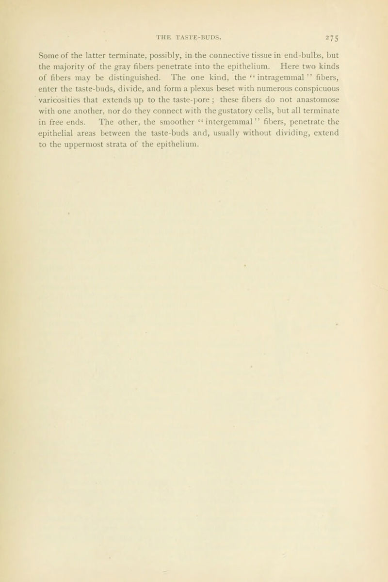 Some of the latter terminate, possibly, in the connective tissue in end-bulbs, but the majority of the gray fibers penetrate into the epithelium. Here two kinds of fibers may be distinguished. The one kind, the  intragemmal  fibers, enter the taste-buds, divide, and form a plexus beset with numerous conspicuous varicosities that extends up to the taste-pore; these fibers do not anastomose with one another, nor do they connect with the gustatory cells, but all terminate in free ends. The other, the smoother  intergemmal fibers, penetrate the epithelial areas between the taste-buds and, usually without dividing, extend to the uppermost strata of the epithelium.