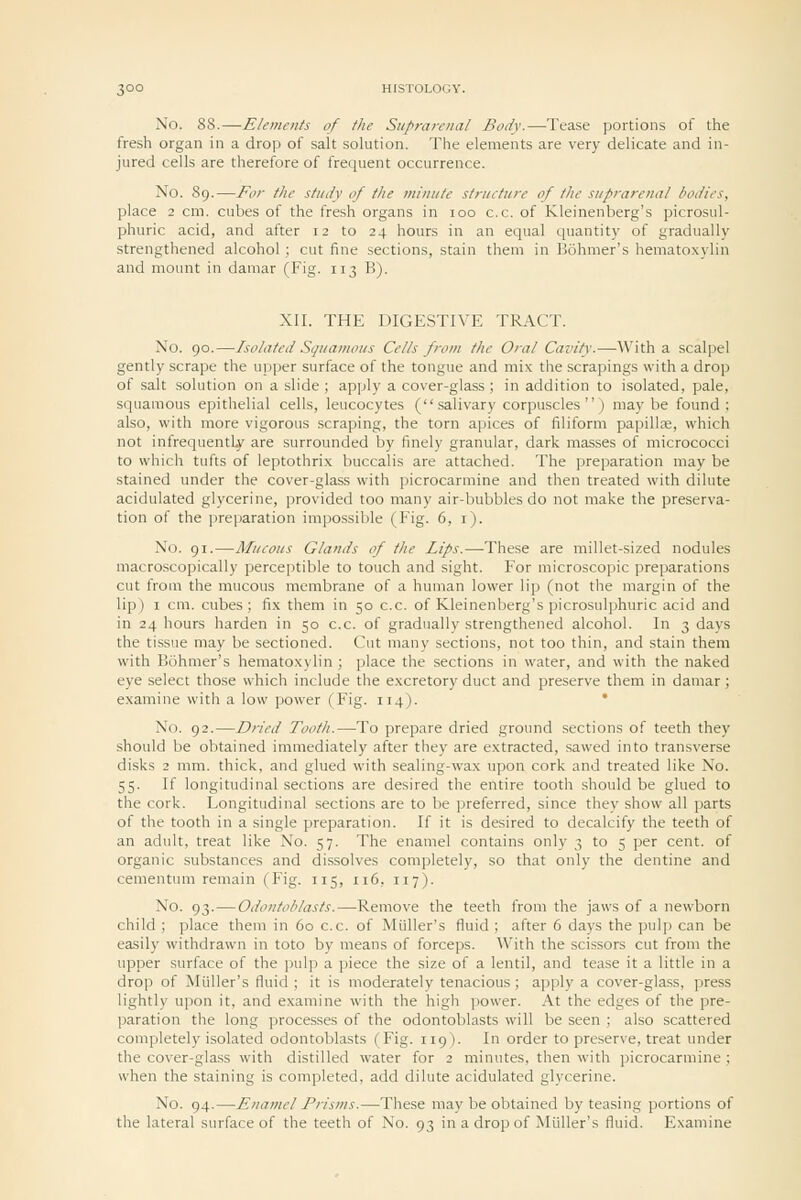 No. 88.—Elements of the Suprareiiat Body.—Tease portions of the fresh organ in a drop of salt solution. The elements are very delicate and in- jured cells are therefore of frequent occurrence. No. 89.—For the study of the minute structure of the suprarenal bodies, place 2 cm. cubes of the fresh organs in 100 c.c. of Kleinenberg's picrosul- phuric acid, and after 12 to 24 hours in an equal quantity of gradually strengthened alcohol ; cut fine sections, stain them in Bohmer's hematoxylin and mount in damar (Fig. 113 B). XII. THE DIGESTIVE TRACT. No. 90.—Isolated Squamous Cells from the Oral Cavity.—-With a scalpel gently scrape the upper surface of the tongue and mix the scrapings with a drop of salt solution on a slide ; apply a cover-glass ; in addition to isolated, pale, squamous epithelial cells, leucocytes ( salivary corpuscles ) maybe found; also, with more vigorous scraping, the torn apices of filiform papillae, which not infrequently are surrounded by finely granular, dark masses of micrococci to which tufts of leptothrix buccalis are attached. The preparation may be stained under the cover-glass with picrocarmine and then treated with dilute acidulated glycerine, provided too many air-bubbles do not make the preserva- tion of the preparation impossible (Fig. 6, i). No. 91.—Mucous Glands of the Lips.—These are millet-sized nodules macroscopically perceptible to touch and sight. For microscopic preparations cut from the mucous membrane of a human lower lip (not the margin of the lip) I cm. cubes; fix them in 50 c.c. of Kleinenberg's picrosulphuric acid and in 24 hours harden in 50 c.c. of gradually strengthened alcohol. In 3 days the tissue may be sectioned. C\it many sections, not too thin, and stain them with Bohmer's hematoxylin ; place the sections in water, and with the naked eye select those which include the excretory duct and preserve them in damar; examine with a low power (Fig. 114). No. 92.—Dried Tooth.—To prepare dried ground sections of teeth they should be obtained immediately after they are extracted, sawed into transverse disks 2 mm. thick, and glued with sealing-wax upon cork and treated like No. 55. If longitudinal sections are desired the entire tooth should be glued to the cork. Longitudinal sections are to be i)referred, since thev show all parts of the tooth in a single preparation. If it is desired to decalcify the teeth of an adult, treat like No. 57. The enamel contains only 3 to 5 per cent, of organic substances and dissolves completely, so that only the dentine and cementum remain (Fig. 115, 116, 117). No. 93.—Odontoblasts.—Remove the teeth from the jaws of a newborn child ; place them in 60 c.c. of Miiller's fluid ; after 6 days the pulp can be easily withdrawn in toto by means of forceps. With the scissors cut from the upper surface of the pulp a piece the size of a lentil, and tease it a little in a drop of Miiller's fluid ; it is moderately tenacious; apply a cover-glass, press lightly upon it, and examine with the high power. At the edges of the pre- paration the long processes of the odontoblasts will be seen ; also scattered completely isolated odontoblasts (Fig. 119). In order to preserve, treat under the cover-glass with distilled water for 2 minutes, then with picrocarmine ; when the staining is completed, add dilute acidulated glycerine. No. 94.—Enamel Prisms.—These may be obtained by teasing portions of the lateral surface of the teeth of No. 93 in a drop of Miiller's fluid. Examine