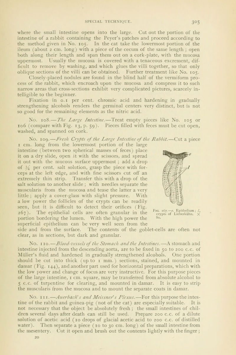 where the small intestine opens into the large. Cut out the portion of the intestine of a rabbit containing the Peyer's patches and proceed according to the method given in No. 105. In the cat take the lowermost portion of the ileum (about 2 cm. long) with a piece of the cecum of the same length ; open both along their length and span them out on a cork-plate, with the muco.sa uppermost. Usually the mucosa is covered with a tenaceous excrement, dif- ficult to remove by washing, and which glues the villi together, so that only oblique sections of the villi can be obtained. Further treatment like No. 105. Closely-placed nodules are found in the blind half of the vermiform pro- cess of the rabbit, which encroach upon the muco.sa and compress it to such narrow areas that cross-sections exhibit very complicated pictures, scarcely in- telligible to the beginner. Fi.xation in o.i per cent, chromic acid and hardening in gradually strengthening alcohols renders the germinal centers very distinct, but is not so good for the remaining elements as the nitric acid. No. 108.— The Large Intestine.—Treat empty pieces like No. 105 or 106 (compare with Fig. 13, p. 59). Pieces filled with feces must be cut open, washed, and spanned on cork. No. 109.—Fresh Crypts of the Large Intestine (yf the Rahhit.—Cut a piece I cm. long from the lowermost portion of the large intestine (between two s])herical masses of feces) place it on a dry slide, open it with the scissors, and spread it out with the mucous surface uppermost ; add a drop of J4^ per cent, salt solution, grasp the piece with for- ceps at the left edge, and with fine scissors cut off an extremely thin strip. Transfer this with a drop of the salt solution to another slide ; with needles se])arate the muscularis from the mucosa and tease the latter a very little; apply a cover-glass with slight pressure. \\'ith a low power the follicles of the crypts can be readily seen, but it is difficult to detect their orifices (Fig. 267). The epithelial cells are often granular in the 'ryptJof''Lieberkah' x portion bordering the lumen. With the high power the ^°- superficial eiiithelium can be very well seen from the side and from the surface. The contents of the goblet-cells are often not clear, as in sections, but dark and granular. No. no.—Bloihi-vessels of the Stomaeh anJ the Intestines.—A stomach and intestine injected from the descending aorta, are to be fi.xed in 50 to 200 c.c. of Miiller's fluid and hardened in gradually strengthened alcohols. One portion should be cut into thick (up to i mm.) sections, stained, and mounted in daniar (Fig. 144), and another part used for horizontal preparations, which with the low power and change of focus are very instructive. For this purpose pieces of the large intestine, i cm. square, may be transferred from absolute alcohol to 5 c.c. of turpentine for clearing, and mounted in damar. It is easy to strip the muscularis from the mucosa and to mount the separate coats in damar. No. III.—Aiierbach' s and Meissnei' s Ple.xtis.—For this purpose the intes- tine of the rabbit and guinea-pig (not of the cat) are especially suitable. It is not necessary that the object be absolutely fresh ; the small intestines of chil- dren several days after death can still be used. Prepare 200 c.c. of a dilute solution of acetic acid (10 drops of glacial acetic acid to 200 c.c. of distilled water). Then separate a piece (10 to 30 cm. long) of the small intestine from the mesentery. Cut it open and brush out the contents lightly with the finger;