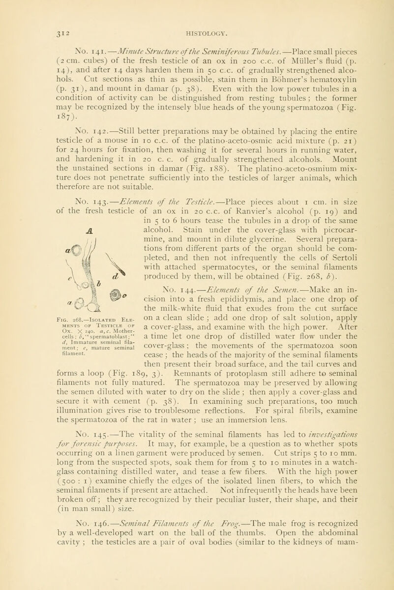 No. 141.—Minute S/ructi/re of the Seminiferous Tubules.—Place small pieces (2 cm. cubes) of the fresh testicle of an ox in 200 c.c. of Miiller's fluid (]). 14), and after 14 days harden them in 50 c.c. of gradually strengthened alco- hols. Cut sections as thin as possible, stain them in Bohmer's hematoxylin (p. 31), and mount in damar (p. 38 ). Even with the low power tubules in a condition of activity can be distinguished from resting tubules ; the former may be recognized by the intensely blue heads of the young spermatozoa (Fig. 187). No. 142.—Still better preparations maybe obtained by placing the entire testicle of a mouse in 10 c.c. of the platino-aceto-osmic acid mixture (p. 21) for 24 hours for fixation, then washing it for several hours in running water, and hardening it in 20 c. c. of gradually strengthened alcohols. Mount the unstained sections in damar (Fig. 18S). The platino-aceto-osmium mix- ture does not penetrate sufficiently into the testicles of larger animals, which therefore are not suitable. No. 143.—Elements of the Testicle.—Place pieces about i cm. in size of the fresh testicle of an ox in 20 c.c. of Ranvier's alcohol (p. 19) and in 5 to 6 hours tease the tubules in a drop of the same j1 alcohol. Stain under the cover-glass with picrocar- mine, and mount in dilute glycerine. Several prepara- tions from different parts of the organ should be com- pleted, and then not infrequently the cells of Sertoli with attached spermatocytes, or the seminal filaments Ijroduced by them, will be obtained (Fig. 268, b). No. 144.—Elements of the Semen.—Make an in- cision into a fresh epididymis, and place one drop of the milk-white fluid that exudes from the cut surface Fig. 268.—Tsolatbd Ele- on a clean slide ; add one drop of salt solution, apply MBNTs OP Testicle OP a cover-glass, and examine with the hitrh power. After Ox. X 240. a, c. Mother- . ^ . .^ t cells; *,■• spermatoblast; a tmic let One drop of distilled water flow under the m'entl'?,'matu'rT'eminai cover-glass; the movements of the spermatozoa soon '='='■ cease ; the heads of the majority of the seminal filaments then present their broad surface, and the tail curves and forms a loop (Fig. 189, 3). Remnants of protoplasm still adhere to seminal filaments not fully matured. The spermatozoa may be preserved by allowing the semen diluted with water to dry on the slide ; then apply a cover-glass and secure it with cement (p. 38). In examining such preparations, too much illumination gives rise to troublesome reflections. For spiral fibrils, examine the spermatozoa of the rat in water; use an immersion lens. No. 145.—The vitality of the seminal filaments has led to investigations for forensic purposes. It may, for example, be a question as to whether spots occurring on a linen garment were produced by semen. Cut strips 5 to 10 mm. long from the suspected spots, soak them for from 5 to 10 minutes in a watch- glass containing distilled water, and tease a few fibers. With the high power (500 : i) examine chiefly the edges of the isolated linen fibers, to which the seminal filaments if present are attached. Not infrequently the heads have been broken off; they are recognized by their peculiar luster, their shape, and their (in man small) size. No. 146.—Seminal Filaments of the Frog.—The male frog is recognized by a well-developed wart on the ball of the thumbs. Open the abdominal cavity ; the testicles are a pair of oval bodies (similar to the kidneys of mam-