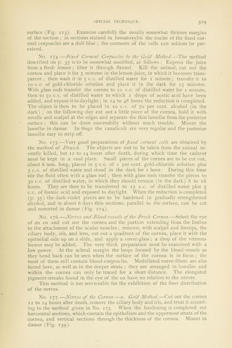 surface (Fig. 223). Examine carefully the usually somewhat thinner margins of the section ; in sections stained in hematoxylin the nuclei of the fixed cor- neal corpuscles are a dull blue ; the contours of the cells can seldom be per- ceived. No. 174.—Fixed Corneal Corpuscles by the Gold Method.—The method described on p. 35 is to be somewhat modified, as follows : Express the juice from a fresh lemon ; filter it through flannel. Kill the animal, cut out the cornea and place it for 5 minutes in the lemon-juice, in which it becomes trans- jjarent ; then wash it in 5 c.c. of distilled water for i minute; transfer it to 10 c.c. of gold-chloride solution and place it in the dark for 15 minutes. With glass rods transfer the cornea to 10 c.c. of distilled water for i minute, then to 50 c.c. of distilled water to which 2 drops of acetic acid have been added, and expose it to daylight; in 24 to 48 hours the reduction is completed. The object is then to be placed in 10 c.c. of 70 per cent, alcohol (in the dark) ; on the following day cut out a little piece of the cornea, hold it with needle and scalpel at the edges and sejiarate the thin lamella from the posterior surface; this can be done successfully without much trouble. Mount the lamellae in damar. In frogs the canaliculi are very regular and the posterior lamellae easy to strip off. No. 175.—Very good preparations oi fixed corneal cells are obtained by the method of Drasch. The objects are not to be taken from the animal re- cently killed, but 12 to 24 hours after death, during which time the cadaver must be kept in a cool place. Small pieces of the cornea are to be cut out, about 6 mm. long, placed in 5 c.c. of 1 per cent, gold-chloride solution plus 5 c.c. of distilled water and stood in the dark for i hour. During this time stir the fluid often with a gla.ss rod ; then with glass rods transfer the pieces to 30 c.c. of distilled water, in which they should remain (in the dark) 8 to 16 hours. They are then to be transferred to 25 c.c. of distilled water plus 5 c.c. of formic acid and exposed to daylight. When the reduction is completed (p. 35) the dark-violet pieces are to be hardened in gradually strengthened alcohol, and in about 6 days thin sections, parallel to the surface, can be cut and mounted in damar (Fig. 224). No. 176.—Nen'es and Blood-vessels of the Fresh Cornea.—Select the eye of an ox and cut out the cornea and the portion extending from the limbus to the attachment of the ocular muscles; remove, with scalpel and forceps, the ciliary body, iris, and lens, cut out a quadrant of the cornea, place it with the epithelial side up on a slide, and apply a cover-glass ; a drop of the vitreous humor may be added. The very thick preparation must be examined with a low ])ower. .\t the scleral margin the loops formed by the blood-vessels as they bend back can be seen when the surface of the cornea is in focus ; the most of them still contain blood-corpuscles. Medullated nerve-fibers are also found here, as well as in the deeper strata ; they are arranged in bundles and within the cornea can only be traced for a short distance. The elongated pigment-streaks found in the eye of the ox have no relation to the nerves. This method is not serviceable for the exhibition of the finer distribution of the nerves. No. 177.—Nerves of the Cornea.—a. Gold Method.—Cut out the cornea I 2 to 24 hours after death, remove the ciliary body and iris, and treat it accord- ing to the method given in No. 175. When the hardening is completed cut horizontal sections, which contain the epithelium and the uppermost strata of the cornea, and vertical sections through the thickness of the cornea. Mount in damar (Fig. 239).