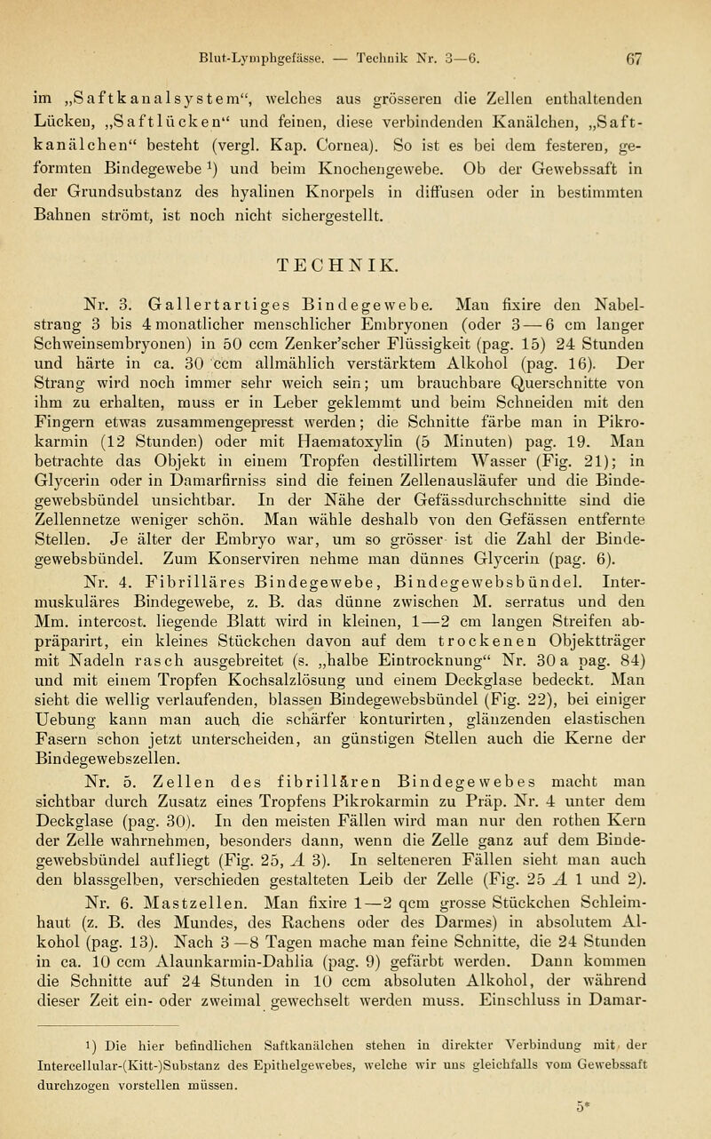 im „Saftk anal System, welches aus grösseren die Zellen enthaltenden Lücken, „Saftlücken und feinen, diese verbindenden Kanälchen, „Saft- kanälchen besteht (vergl. Kap. Cornea). So ist es bei dem festeren, ge- formten Bindegewebe ^) und beim Knochengewebe. Ob der Gewebssaft in der Grundsubstanz des hyalinen Knorpels in diffusen oder in bestimmten Bahnen strömt, ist noch nicht sichergestellt. TECHNIK. Nr. 3. Gallertartiges Bindegewebe. Man fixire den Nabel- strang 3 bis 4 monatlicher menschlicher Embryonen (oder 3 — 6 cm langer Schweinsembryouen) in 50 com Zenker'scher Flüssigkeit (pag. 15) 24 Stunden und härte in ca. 30 com allmählich verstärktem Alkohol (pag. 16). Der Strang wird noch immer sehr weich sein; um brauchbare Querschnitte von ihm zu erhalten, muss er in Leber geklemmt und beim Schneiden mit den Fingern etwas zusammengepresst werden; die Schnitte färbe man in Pikro- karmin (12 Stunden) oder mit Haematoxylin (5 Minuten) pag. 19. Man betrachte das Objekt in einem Tropfen destillirtem Wasser (Fig. 21); in Glycerin oder in Damarfirniss sind die feinen Zellenausläufer und die Binde- gewebsbündel unsichtbar. In der Nähe der Gefässdurchschnitte sind die Zellennetze weniger schön. Man wähle deshalb von den Gefässen entfernte Stellen. Je älter der Embryo war, um so grösser ist die Zahl der Binde- gewebsbündel. Zum Konserviren nehme man dünnes Glycerin (pag. 6). Nr. 4. Fibrilläres Bindegewebe, Bindegewebsbündel. Inter- muskuläres Bindegewebe, z. B. das dünne zwischen M. serratus und den Mm. intercost. liegende Blatt wird in kleinen, 1—2 cm langen Streifen ab- präparirt, ein kleines Stückchen davon auf dem trockenen Objektträger mit Nadeln rasch ausgebreitet (s. „halbe Eintrocknung Nr. 30a pag. 84) und mit einem Tropfen Kochsalzlösung und einem Deckglase bedeckt. Man sieht die wellig verlaufenden, blassen Bindegewebsbündel (Fig. 22), bei einiger Uebung kann man auch die schärfer konturirten, glänzenden elastischen Fasern schon jetzt unterscheiden, an günstigen Stellen auch die Kerne der Bindegewebszellen. Nr. 5. Zellen des fibrillären Bindegewebes macht man sichtbar durch Zusatz eines Tropfens Pikrokarmin zu Präp. Nr. 4 unter dem Deckglase (pag. 30). In den meisten Fällen wird man nur den rotheu Kern der Zelle wahrnehmen, besonders dann, wenn die Zelle ganz auf dem Binde- gewebsbündel aufliegt (Fig. 25, Ä 3). In selteneren Fällen sieht man auch den blassgelben, verschieden gestalteten Leib der Zelle (Fig. 25 ^ 1 und 2). Nr. 6. Mastzellen. Man fixire 1—2 qcm grosse Stückchen Schleim- haut (z. B. des Mundes, des Rachens oder des Darmes) in absolutem Al- kohol (pag. 13). Nach 3—8 Tagen mache mau feine Schnitte, die 24 Stunden in ca. 10 ccm Alaunkarmin-Dahlia (pag. 9) gefärbt werden. Dann kommen die Schnitte auf 24 Stunden in 10 ccm absoluten Alkohol, der während dieser Zeit ein- oder zweimal gewechselt werden muss. Einschluss in Damar- 1) Die hier befindlichen Saftkanälchen stehen in direkter Verbindung mit der Interce]lular-(Kitt-)Substanz des Epithelgewebes, welche wir uns gleichfalls vom Gewebssaft durchzogen vorstellen müssen. 5*