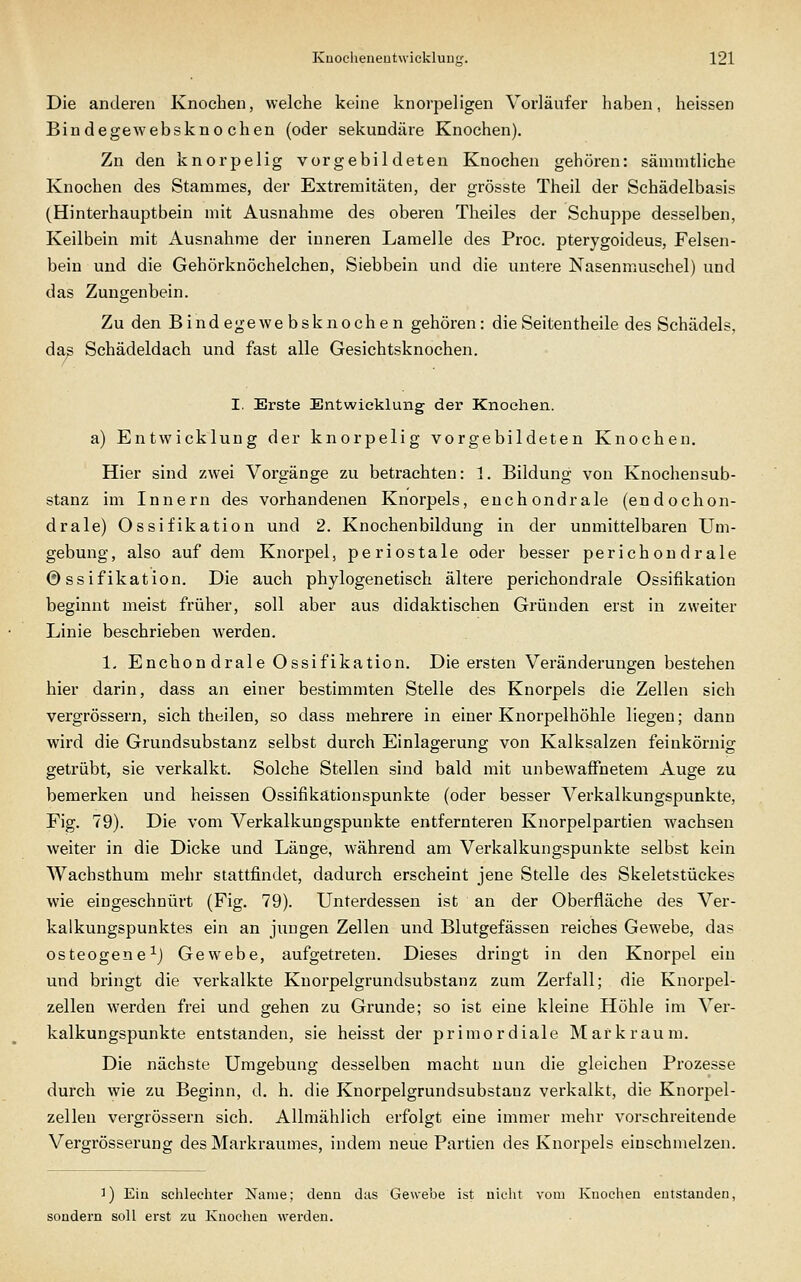 Die anderen Knochen, welche keine knorpeligen Vorläufer haben, heissen Bindegewebskno chen (oder sekundäre Knochen). Zn den knorpelig vorgebildeten Knochen gehören: sämmtliche Knochen des Stammes, der Extremitäten, der grösste Theil der Schädelbasis (Hinterhauptbein mit Ausnahme des oberen Theiles der Schuppe desselben, Keilbein mit Ausnahme der inneren Lamelle des Proc. pterygoideus, Felsen- bein und die Gehörknöchelchen, Siebbein und die untere Nasenmuschel) und das Zungenbein. Zu den Bindegewebsknochen gehören: dieSeitentheile des Schädels, da^ Schädeldach und fast alle Gesichtsknochen. I. Erste Entwicklung der Knochen. a) Entwicklung der knorpelig vorgebildeten Knochen. Hier sind zwei Vorgänge zu betrachten: 1. Bildung von Knochensub- stanz im Innern des vorhandenen Knorpels, enchondrale (endochon- drale) Ossifikation und 2. Knochenbildung in der unmittelbaren Um- gebung, also auf dem Knorpel, periostale oder besser perichondrale Ossifikation. Die auch phylogenetisch ältere perichondrale Ossifikation beginnt meist früher, soll aber aus didaktischen Gründen erst in zweiter Linie beschrieben werden. 1. Enchondrale Ossifikation. Die ersten Veränderungen bestehen hier darin, dass an einer bestimmten Stelle des Knorpels die Zellen sich vergrössern, sich theilen, so dass mehrere in einer Knorpelhöhle liegen; dann wird die Grundsubstanz selbst durch Einlagerung von Kalksalzen feinkörnig getrübt, sie verkalkt. Solche Stellen sind bald mit unbewaffnetem Auge zu bemerken und heissen Ossifikätionspunkte (oder besser Verkalkungspunkte, Fig. 79). Die vom Verkalkungspunkte entfernteren Knorpelpartien wachsen weiter in die Dicke und Länge, während am Verkalkungspunkte selbst kein Wachsthum mehr stattfindet, dadurch erscheint jene Stelle des Skeletstückes wie eingeschnürt (Fig. 79). Unterdessen ist an der Oberfläche des Ver- kalkungspunktes ein an jungen Zellen und Blutgefässen reiches Gewebe, das osteogene^) Gewebe, aufgetreten. Dieses dringt in den Knorpel ein und bringt die verkalkte Kuorpelgrundsubstanz zum Zerfall; die Knorpel- zellen werden frei und gehen zu Grunde; so ist eine kleine Höhle im Ver- kalkungspunkte entstanden, sie heisst der primordiale Mafkraum. Die nächste Umgebung desselben macht nun die gleichen Prozesse durch wie zu Beginn, d. h. die Knorpelgrundsubstanz verkalkt, die Knorpel- zelleu vergrössern sich. Allmählich erfolgt eine immer mehr vorschreiteude Vergrösserung des Markraumes, indem neue Partien des Knorpels einschmelzen. 1) Eiu schlechter Name; denn das Gewebe ist nicht vom Knochen entstanden, sondern soll erst zu Knochen werden.