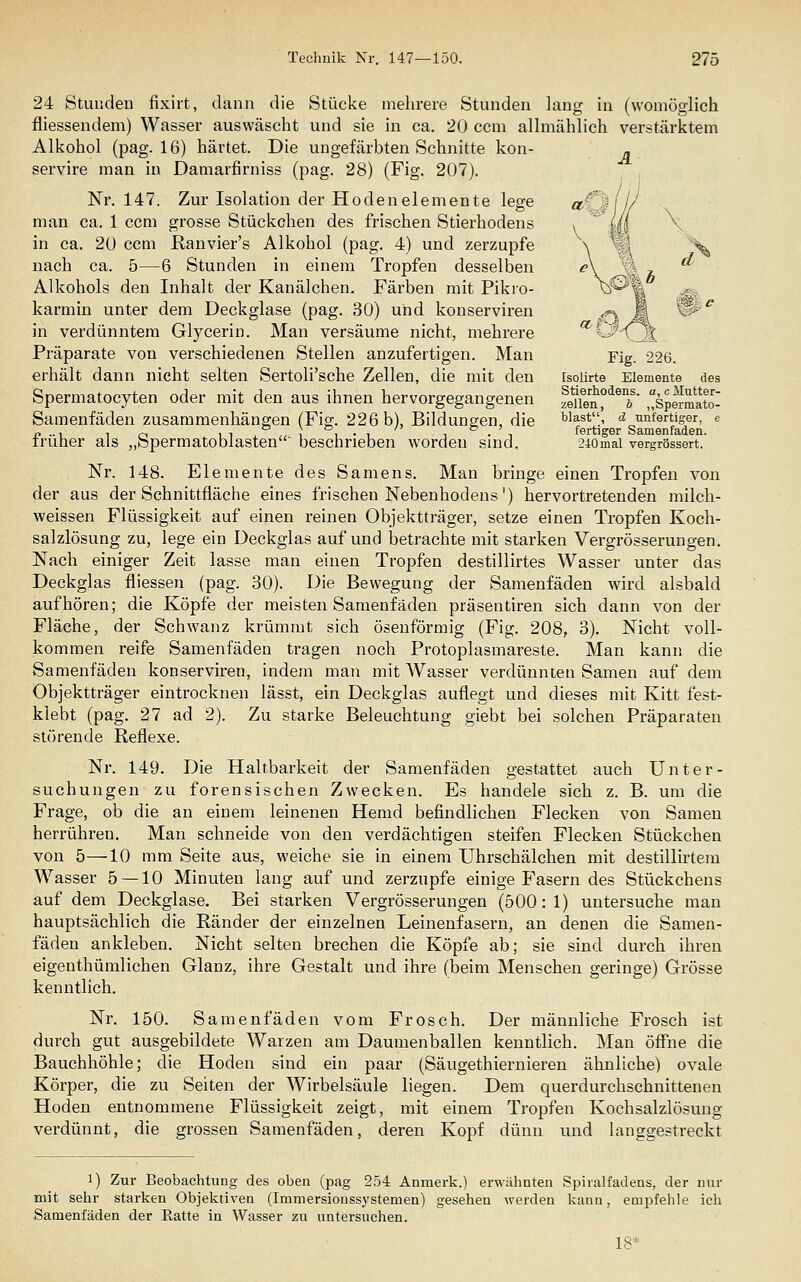 24 Stunden fixirt, dann die Stücke melirere Stunden lang in (womöglich fliessendem) Wasser auswäscht und sie in ca. 20 ccni allmählich verstärktem Alkohol (pag. 16) härtet. Die ungefärbten Schnitte kon- » servire man iu Damarfirniss (pag. 28) (Fig. 207). Nr. 147. Zur Isolation der Hodenelemente lege man ca. 1 ccm grosse Stückchen des frischen Stierhodens in ca. 20 ccm Ranvier's Alkohol (pag. 4) und zerzupfe nach ca. 5—6 Stunden in einem Tropfen desselben Alkohols den Inhalt der Kanälchen. Färben mit Pikro- karmin unter dem Deckglase (pag. 30) und konserviren in verdünntem Glycerin. Man versäume nicht, mehrere Präparate von verschiedenen Stellen anzufertigen. Man Fig. 226. erhält dann nicht selten Sertoli'sche Zellen, die mit den [soiirte Elemente des Spermatocyten oder mit den aus ihnen hervorgegangenen fene^n°^^T' .spSato- Samenfäden zusammenhängen (Fig. 226 b), Bildungen, die Wast, tz unfertiger, e „ .., , _^ ^. ui 4. u- 1 u • u j • 1 fertiger Samenfaden. iruher als „bpermatoblasten beschrieben worden sind. 240mai vergrössert. Nr. 148. Elemente des Samens. Man bringe einen Tropfen von der aus der Schnittfläche eines frischen Nebenhodens') hervortretenden milch- weissen Flüssigkeit auf einen reinen Objektträger, setze einen Tropfen Koch- salzlösung zu, lege ein Deckglas auf und betrachte mit starken Vergrösserungen. Nach einiger Zeit lasse man einen Tropfen destillirtes Wasser unter das Deckglas fliessen (pag. 30). Die Bewegung der Samenfäden wird alsbald aufhören; die Köpfe der meisten Samenfäden präsentiren sich dann von der Fläche, der Schwanz krümmt sich ösenförmig (Fig. 208, 3). Nicht voll- kommen reife Samenfäden tragen noch Protoplasmareste. Man kann die Samenfäden konserviren, indem man mit Wasser verdünnten Samen auf dem Objektträger eintrocknen lässt, ein Deckglas auflegt und dieses mit Kitt fest- klebt (pag. 27 ad 2). Zu starke Beleuchtung giebt bei solchen Präparaten störende Reflexe. Nr. 149. Die Haltbarkeit der Samenfäden gestattet auch Unter- suchungen zu forensischen Zwecken. Es handele sich z. B. um die Frage, ob die an einem leineneu Hemd befindlichen Flecken von Samen herrühren. Man schneide von den verdächtigen steifen Flecken Stückchen von 5—10 mm Seite aus, weiche sie in einem Uhrschälchen mit destillulem Wasser 5 — 10 Minuten lang auf und zerzupfe einige Fasern des Stückchens auf dem Deckglase. Bei starken Vergrösserungen (500:1) untersuche man hauptsächlich die Ränder der einzelnen Leinenfasern, an denen die Samen- fäden ankleben. Nicht selten brechen die Köpfe ab; sie sind durch ihren eigenthümlichen Glanz, ihre Gestalt und ihre (beim Menschen geringe) Grösse kenntlich. Nr. 150. Samenfäden vom Frosch. Der männliche Frosch ist durch gut ausgebildete Warzen am Daumenballen kenntlich. Man öffne die Bauchhöhle; die Hoden sind ein paar (Säugethiernieren ähnliche) ovale Körper, die zu Seiten der Wirbelsäule liegen. Dem querdurchschnittenen Hoden entnommene Flüssigkeit zeigt, mit einem Tropfen Kochsalzlösung verdünnt, die grossen Samenfäden, deren Kopf dünn und langgestreckt 1) Zur Beobachtung des oben (pag 254 Anmerk.) erwähuteu Spiralfadeas, der uur mit sehr starken Objektiven (Immersionssj'stemen) gesehen werden kann, emjjfehle ich Samenfäden der Ratte in Wasser zu untersuchen. 18*