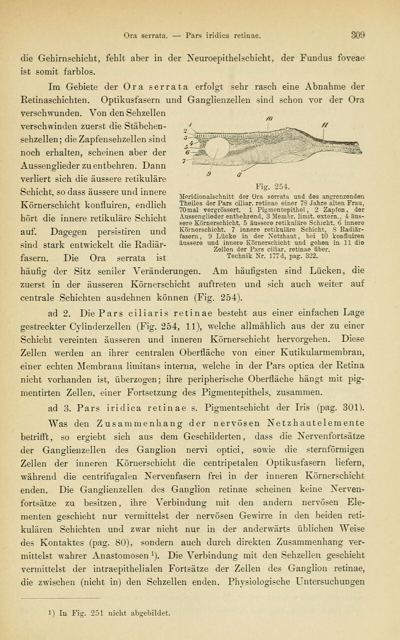 die Gehirnschicht, fehlt aber in der Xeuroepithelschicht, der Fundus foveae ist somit farblos. Im Gebiete der Ora serrata erfolgt sehr rasch eine Abnahme der Retinaschichten. Optikusfasern und Ganglienzellen sind schon vor der Ora verschwunden. Von den Sehzellen /o verschwinden zuerst die Stäbchen- J ^-p--«- '^ sehzellen; die Zapfensehzellen sind noch erhalten, scheinen aber der Aussenglieder zu entbehren. Dann verliert sich die äussere retikuläre Schicht, so dass äussere und innere ^. ■.■ , i, -^4. j ,> *' ~ / ^ ^ ;, ' llenaionalscnnitt der Ora serrata und des anarenzendeii Körnerschicht konfluiren, endlich Jlieües der Pars cUiar. retinae einer 73 Jahre alten Frau, ' lOmal versrossert. 1 Pigraentepitnel, 2 Zapfen, der hört die innere retikuläre Schicht Anssendieder entbehrend, 3 ilembrlimit. extern 4 äus- sere Komerschicht, o äussere retikuläre Schient. 6 innere auf. Dagegen persistiren und Körnerschicht. 7 innere retikuläre Schi.cht S Radiär- so r fasern, 9 Lücke m der Netzhaut, bei 10 konilniren sind stark entwickelt die Radiär- äussere und innere Körnerschicht und gehen in 11 die Zellen der Pars ciliar, retinae über. fasern. Die Ora serrata ist Technik Nr. 177 d, pag. 322. häufig der Sitz seniler Veränderungen. Am häufigsten sind Lücken, die zuerst in der äusseren Körnerschicht auftreten und sich auch weiter auf centrale Schichten ausdehnen können (Fig. 254). ad 2. Die Pars ciliaris retinae besteht aus einer einfachen Lage gestreckter Cylinderzellen (Fig. 254, 11), welche allmählich aus der zu einer Schicht vereinten äusseren und inneren Körnerschicht hervorgehen. Diese Zellen werden an ihrer centralen Oberfläche von einer Kutikularmembrau, einer echten Membrana limitans interna, welche in der Pars optica der Retina nicht vorhanden ist, überzogen; ihre periphei'ische Oberfläche hängt mit pig- mentirten Zellen, einer Fortsetzung des Pigmentepithels, zusammen. ad 3. Pars iridica retinae s. Pigmentschicht der Iris (pag. 301). Was den Zusammenhang der nervösen Xetzhautelemente betrifl^t, so ergiebt sich aus dem Geschilderten, dass die Nervenfortsätze der Ganglienzellen des Ganglion nervi optici, sowie die sternförmigen Zellen der inneren Komerschicht die centripetalen Optikusfasern liefern, während die centrifugalen Nervenfasern frei in der inneren Körnerschicht enden. Die Ganglienzellen des Ganglion retinae scheinen keine Xerven- fortsätze zu besitzen, ihre Verbindung mit den andern nervösen Ele- menten geschieht nur vermittelst der nervösen Gewirre in den beiden reti- kulären Schichten und zwar nicht nur in der anderwärts üblichen Weise des Kontaktes (pag. 80), sondern auch durch direkten Zusammenhang ver- mittelst wahrer Anastomosen i). Die Verbindung mit den Sehzellen geschieht vermittelst der intraepithelialen Fortsätze der Zellen des Ganglion retinae, die zwischen (nicht in) den Sehzellen enden. Physiologische Untersuchungen l) In Fisr. 251 nicht abgebildet.