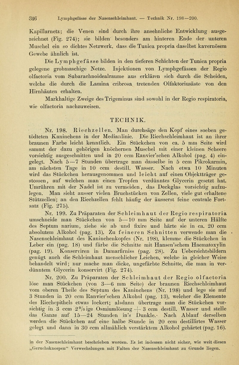 Kapillarnetz; die Venen sind durch ihre ansehnliche Entwicklung ausge- zeichnet (Fig. 274); sie bilden besonders am hinteren Ende der unteren Muschel ein so dichtes Netzwerk, dass die Tunica propria daselbst kayernösern Gewebe ähnlich ist. Die Lymphgefässe bilden in den tieferen Schichten der Tunica propria gelegene grobmaschige Netze. Injektionen von Lymphgefässen der Regio olfactoria vom Subarachnoidealraume aus erklären sich durch die Scheiden, welche die durch die Lamina cribrosa tretenden Olfaktoriusäste von den Hirnhäuten erhalten. Markhaltige Zweige desTrigeminus sind sowohl in der Regio respiratoria, wie olfactoria nachzuweisen. TECHNIK. Nr. 198. Riechzellen, Man durchsäge den Kopf eines soeben ge- tödteten Kaninchens in der Medianlinie. Die Riechschleimhaut ist an ihrer braunen Farbe leicht kenntlich. Ein Stückchen von ca. 5 mm Seite wird sammt der dazu gehörigen knöchernen Muschel mit einer kleinen Scheere vorsichtig ausgeschnitten und in 20 ccm Ranvier'schen Alkohol (pag. 4) ein- gelegt. Nach 5—7 Stunden übertrage man dasselbe in 5 ccm Pikrokarmin, am nächsten Tage in 10 ccm destill. Wasser. Nach etwa 10 Minuten wird das Stückchen herausgenommen und leicht auf einen Objektträger ge- stossen, auf welchen man einen Tropfen verdünntes Glycerin gesetzt hat. Umrühren mit der Nadel ist zu vermeiden, das Deckglas vorsichtig aufzu- legen. Man sieht ausser vielen Bruchstücken von Zellen, viele gut erhaltene Stützzellen; an den Riechzellen fehlt häufig der äusserst feine centrale Fort- satz (Fig. 275). Nr. 199. Zu Präparaten der Schleimhaut der Regio respiratoria umschneide man Stückchen von 5—10 mm Seite auf der unteren Hälfte des Septum narium, ziehe sie ab und fixire und härte sie in ca. 20 ccm absolutem Alkohol (pag. 13). Zu feineren Schnitten verwende man die Nasenschleimhaut des Kaninchenkopfes (Nr. 198), klemme die Stückchen in Leber ein (pag. 18) und färbe die Schnitte mit Hansen'schem Haematoxylin (pag. 19). Konserviren in Damarfirniss (pag. 28). Zu Uebersichtsbildern genügt auch die Schleimhaut menschlicher Leichen, welche in gleicher Weise behandelt wird; nur mache man dicke, ungefärbte Schnitte, die man in ver- dünntem Glycerin konservirt (Fig. 274). Nr. 200. Zu Präparaten der Schleimhaut der Regio olfactoria löse man Stückchen (von 3—6 mm Seite) der braunen Riechschleimhaut vom oberen Theile des Septum des Kaninchens (Nr. 198) und lege sie auf 3 Stunden in 20 ccm Ranvier'schen Alkohol (pag. 13), welcher die Elemente des Riechepithels etwas lockert; alsdann übertrage man die Stückchen vor- sichtig in 3 ccm 2 ^/o ige Osmiumlösung-}-3 ccm destill. Wasser und stelle das Ganze auf 15—24 Stunden in's Dunkle.- Nach Ablauf derselben werden die Stückchen auf eine halbe Stunde in 20 ccm destillirtes Wasser gelegt und dann in 30 ccm allmählich verstärktem Alkohol gehärtet (pag. 16). in der Nasensehleimhaut beschrieben woraen. Es ist indessen nicht sicher, wie weit diesen „Geruchsknospen Verwechslungen mit Falten der Nasenschleimhaut zu Grunde liegen.