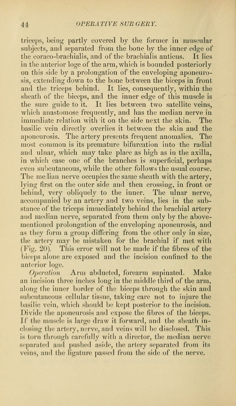 triceps, being partly covered by the former in muscular subjects, aud separated from the bone by the inner edge of the eoraco-brachialis, and of the brachial is anticus. It lies in the anterior loge of the arm, which is bounded posteriorly on this side by a prolongation of the enveloping aponeuro- sis, extending down to the bone between the biceps in front aud the triceps behind. It lies, consequently, within the sheath of the biceps, and the inner edge of this muscle is the sure guide to it. It lies between two satellite veins, which anastomose frequently, and has the median nerve in immediate relation with it on the side next the skin. The basilic vein directly overlies it between the skin and the aponeurosis. The artery presents frequent anomalies. The most common is its premature bifurcation into the radial and ulnar, which may take place as high as in the axilla, in which case one of the branches is superficial, perhaps even subcutaneous, while the other follows the usual course. The median nerve occupies the same sheath with the artery, lying first on the outer side and then crossing, in front or behind, very obliquely to the inner. The ulnar nerve, accompanied by an artery and two veins, lies in the sub- stance of the triceps immediately behind the brachial artery and median nerve, separated from them only by the above- mentioned prolongation of the enveloping aponeurosis, and as they form a group differing from the other only in size, the artery may be mistaken for the brachial if met with (Fig. 20). This error will not be made if the fibres of the biceps alone are exposed and the incision confined to the anterior loge. Operation Arm abducted, forearm supinated. Make an incision three inches long in the middle third of the arm, along the inner border of the biceps through the skin and subcutaneous cellular tissue, taking care not to injure the basilic vein, which should be kept posterior to the incision. Divide the aponeurosis and expose the fibres of the biceps, if the muscle is large draw it forward, and the sheath in- closing the artery, nerve, and veins will be disclosed. This is turn through carefully with a director, the median nerve Separated and pushed aside, the artery separated from its veins, and the ligature passed from the side of the nerve.
