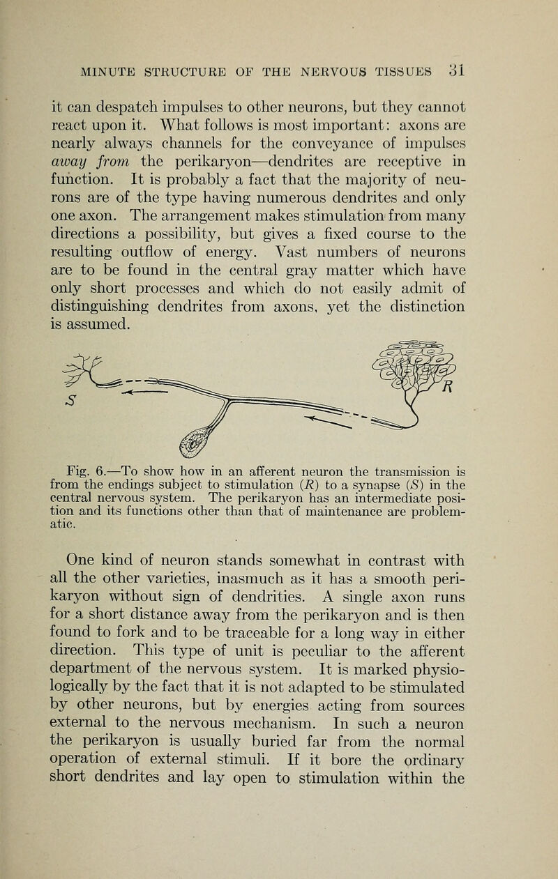 it can despatch impulses to other neurons, but they cannot react upon it. What follows is most important: axons are nearly always channels for the conveyance of impulses away from the perikaryon—dendrites are receptive in function. It is probably a fact that the majority of neu- rons are of the type having numerous dendrites and only one axon. The arrangement makes stimulation from many directions a possibility, but gives a fixed course to the resulting outflow of energy. Vast numbers of neurons are to be found in the central gray matter which have only short processes and which do not easily admit of distinguishing dendrites from axons, yet the distinction is assumed. Fig. 6.—To show how in an afferent neuron the transmission is from the endings subject to stimulation (i?) to a synapse (S) in the central nervous system. The perikaryon has an intermediate posi- tion and its functions other than that of maintenance are problem- atic. One kind of neuron stands somewhat in contrast with all the other varieties, inasmuch as it has a smooth peri- karyon without sign of dendrities. A single axon runs for a short distance away from the perikaryon and is then found to fork and to be traceable for a long waj^ in either direction. This type of unit is peculiar to the afferent department of the nervous system. It is marked physio- logically by the fact that it is not adapted to be stimulated by other neurons, but by energies acting from sources external to the nervous mechanism. In such a neuron the perikaryon is usually buried far from the normal operation of external stimuli. If it bore the ordinary short dendrites and lay open to stimulation within the