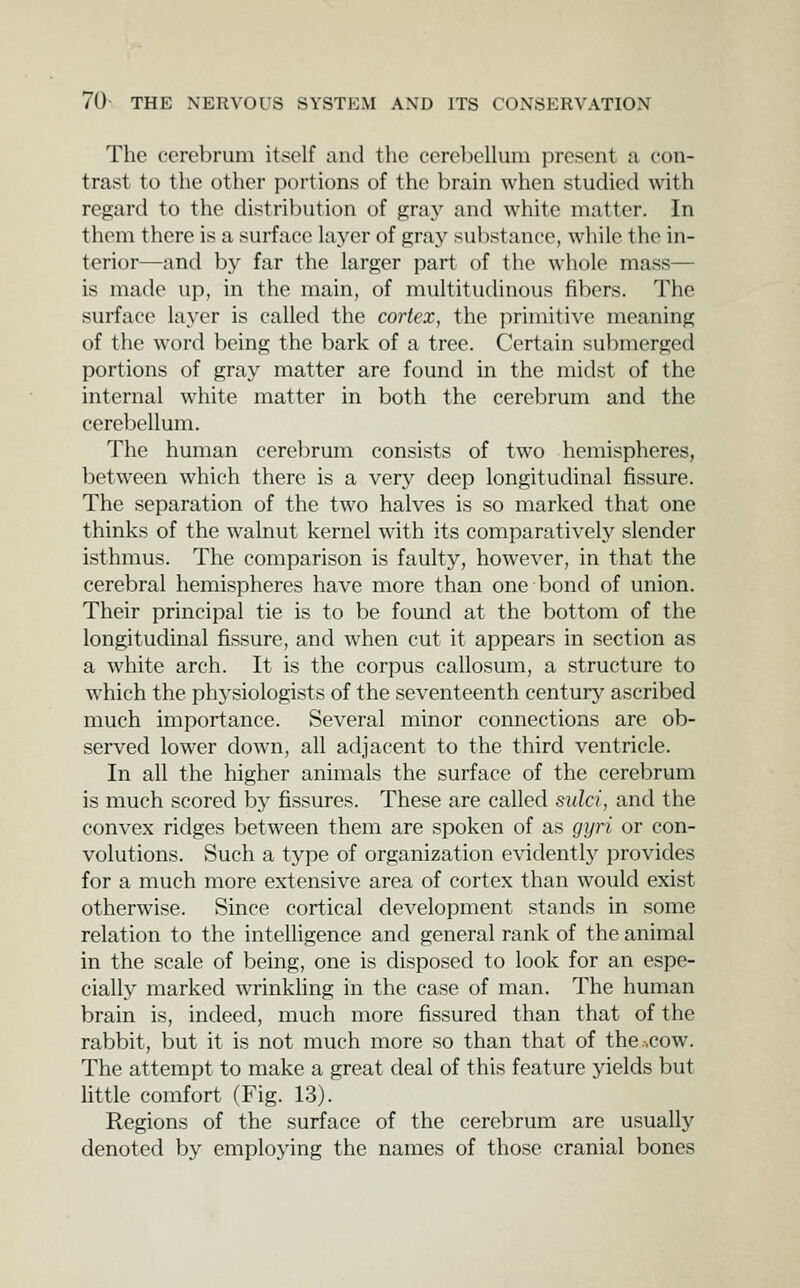 The cerebrum itself and the cerebellum present a con- trast to the other portions of the brain when studied with regard to the distribution of graj- and white matter. In thorn there is a surface layer of gray substance, while the in- terior—and by far the larger part of tlie whole mass— is made up, in the main, of multitudinous fibers. The surface layer is called the cortex, the primitive meaning of the word being the bark of a tree. Certain submerged portions of gray matter are found in the midst of the internal white matter in both the cerebrum and the cerebellum. The human cerebrum consists of two hemispheres, between which there is a very deep longitudinal fissure. The separation of the two halves is so marked that one thinks of the walnut kernel with its comparatively slender isthmus. The comparison is faulty, however, in that the cerebral hemispheres have more than one bond of union. Their principal tie is to be found at the bottom of the longitudinal fissure, and when cut it appears in section as a white arch. It is the corpus callosum, a structure to which the physiologists of the seventeenth century ascribed much importance. Several minor connections are ob- served lower down, all adjacent to the third ventricle. In all the higher animals the surface of the cerebrum is much scored by fissures. These are called sulci, and the convex ridges between them are spoken of as gyri or con- volutions. Such a type of organization evidently provides for a much more extensive area of cortex than would exist otherwise. Since cortical development stands in some relation to the intelligence and general rank of the animal in the scale of being, one is disposed to look for an espe- cially marked wrinkling in the case of man. The human brain is, indeed, much more fissured than that of the rabbit, but it is not much more so than that of the .-.cow. The attempt to make a great deal of this feature yields but little comfort (Fig. 13). Regions of the surface of the cerebrum are usually denoted by employing the names of those cranial bones