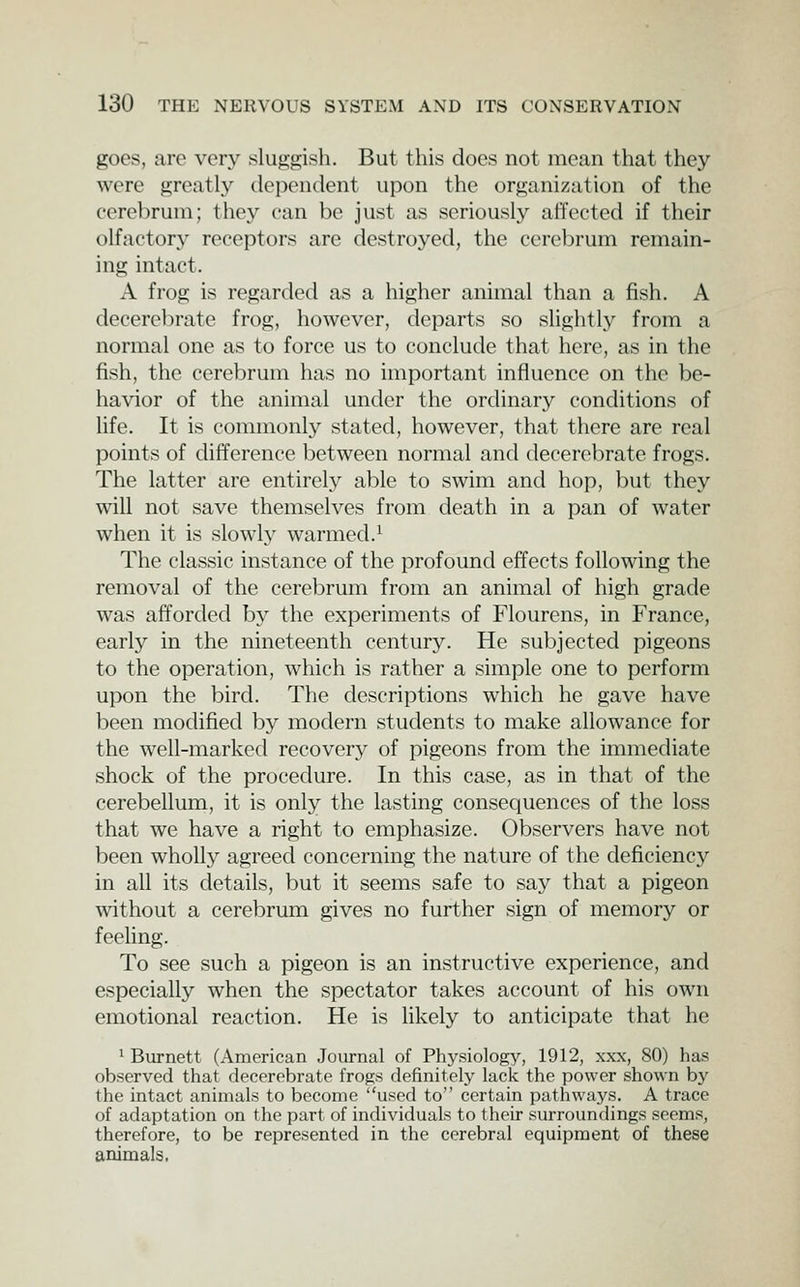 goes, are very sluggish. But this docs not mean that they were greatly dependent upon the organization of the cerebrum; they can be just as seriousl}'- ai'fccted if their olfactory receptors are destroyed, the cerebrum remain- ing intact. A frog is regarded as a higlier animal than a fish. A decerebrate frog, however, departs so slightly from a normal one as to force us to conclude that here, as in the fish, the cerebrum has no important influence on the be- havior of the animal under the ordinary conditions of life. It is commonly stated, however, that there are real points of difference between normal and decerebrate frogs. The latter are entirelj^ able to swim and hop, but they will not save themselves from death in a pan of water when it is slowly warmed.^ The classic instance of the profound effects following the removal of the cerebrum from an animal of high grade was afforded by the experiments of Flourens, in France, early in the nineteenth century. He subjected pigeons to the operation, which is rather a simple one to perform upon the bird. The descriptions which he gave have been modified by modern students to make allowance for the well-marked recovery of pigeons from the immediate shock of the procedure. In this case, as in that of the cerebellum, it is only the lasting consequences of the loss that we have a right to emphasize. Observers have not been wholly agreed concerning the nature of the deficiency in all its details, but it seems safe to say that a pigeon without a cerebrum gives no further sign of memory or feeling. To see such a pigeon is an instructive experience, and especially when the spectator takes account of his own emotional reaction. He is hkely to anticipate that he 1 Burnett (American Journal of Physiology, 1912, xxx, 80) has observed that decerebrate frogs definitely lack the power shown by the intact animals to become used to certain pathways. A trace of adaptation on the part of individuals to their surroundings seems, therefore, to be represented in the cerebral equipment of these animals.