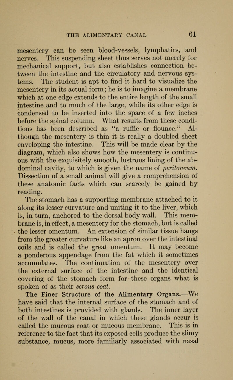 mesentery can be seen blood-vessels, lymphatics, and nerves. This suspending sheet thus serves not merely for mechanical support, but also establishes connection be- tween the intestine and the circulatory and nervous sys- tems. The student is apt to find it hard to visualize the mesentery in its actual form; he is to imagine a membrane which at one edge extends to the entire length of the small intestine and to much of the large, while its other edge is condensed to be inserted into the space of a few inches before the spinal column. What results from these condi- tions has been described as a, ruffle or flounce, Al- though the mesentery is thin it is really a doubled sheet enveloping the intestine. This will be made clear by the diagram, which also shows how the mesentery is continu- ous with the exquisitely smooth, lustrous lining of the ab- dominal cavity, to which is given the name of peritoneum. Dissection of a small animal will give a comprehension of these anatomic facts which can scarcely be gained by reading. The stomach has a supporting membrane attached to it along its lesser curvature and uniting it to the liver, which is, in turn, anchored to the dorsal body wall. This mem- brane is, in effect, a mesentery for the stomach, but is called the lesser omentum. An extension of similar tissue hangs from the greater curvature like an apron over the intestinal coils and is called the great omentum. It may become a ponderous appendage from the fat which it sometimes accumulates. The continuation of the mesentery over the external surface of the intestine and the identical covering of the stomach form for these organs what is spoken of as their serous coat. The Finer Structure of the Alimentary Organs.—We have said that the internal surface of the stomach and of both intestines is provided with glands. The inner layer of the wall of the canal in which these glands occur is called the mucous coat or mucous membrane. This is in reference to the fact that its exposed cells produce the slimy substance, mucus, more familiarly associated with nasal