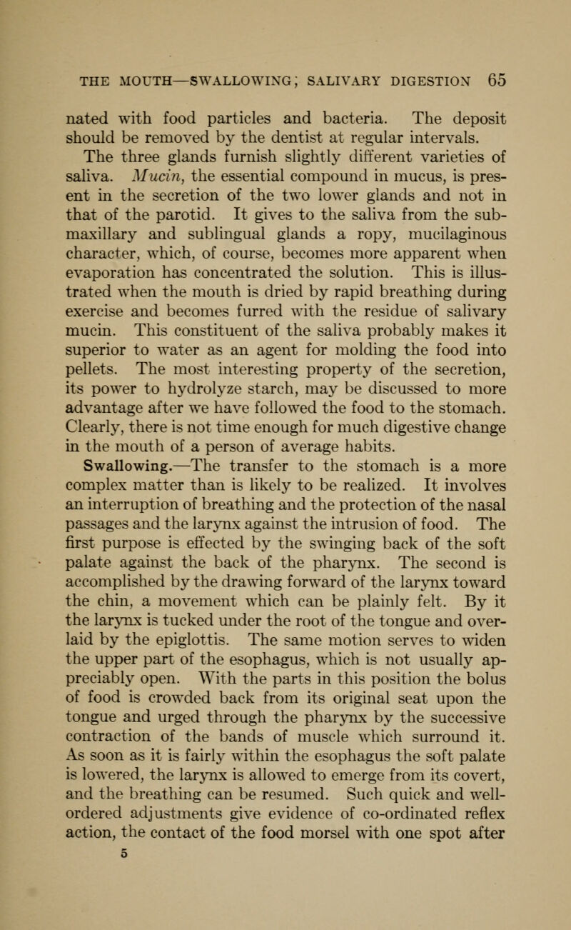 nated with food particles and bacteria. The deposit should be removed by the dentist at regular intervals. The three glands furnish slightly different varieties of saliva. Mucin, the essential compound in mucus, is pres- ent in the secretion of the two lower glands and not in that of the parotid. It gives to the saliva from the sub- maxillary and sublingual glands a ropy, mucilaginous character, which, of course, becomes more apparent when evaporation has concentrated the solution. This is illus- trated when the mouth is dried by rapid breathing during exercise and becomes furred with the residue of salivary mucin. This constituent of the saliva probably makes it superior to water as an agent for molding the food into pellets. The most interesting property of the secretion, its power to hydrolyze starch, may be discussed to more advantage after we have followed the food to the stomach. Clearly, there is not time enough for much digestive change in the mouth of a person of average habits. Swallowing.—The transfer to the stomach is a more complex matter than is likely to be realized. It involves an interruption of breathing and the protection of the nasal passages and the larynx against the intrusion of food. The first purpose is effected by the swinging back of the soft palate against the back of the phar^mx. The second is accomplished by the drawing forward of the larynx toward the chin, a movement which can be plainly felt. By it the larynx is tucked under the root of the tongue and over- laid by the epiglottis. The same motion serves to widen the upper part of the esophagus, which is not usually ap- preciably open. With the parts in this position the bolus of food is crowded back from its original seat upon the tongue and urged through the pharynx by the successive contraction of the bands of muscle which surround it. As soon as it is fairly within the esophagus the soft palate is lowered, the larjmx is allowed to emerge from its covert, and the breathing can be resumed. Such quick and well- ordered adjustments give evidence of co-ordinated reflex action, the contact of the food morsel with one spot after 5