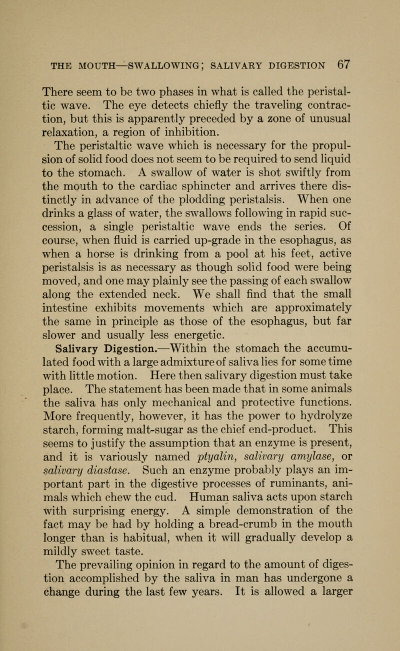 There seem to be two phases in what is called the peristal- tic wave. The eye detects chiefly the traveling contrac- tion, but this is apparently preceded by a zone of unusual relaxation, a region of inhibition. The peristaltic wave which is necessary for the propul- sion of solid food does not seem to be required to send liquid to the stomach. A swallow of water is shot swiftly from the mouth to the cardiac sphincter and arrives there dis- tinctly in advance of the plodding peristalsis. When one drinks a glass of water, the swallows following in rapid suc- cession, a single peristaltic wave ends the series. Of course, when fluid is carried up-grade in the esophagus, as when a horse is drinking from a pool at his feet, active peristalsis is as necessary as though solid food were being moved, and one may plainly see the passing of each swallow along the extended neck. We shall find that the small intestine exhibits movements which are approximately the same in principle as those of the esophagus, but far slower and usually less energetic. Salivary Digestion.—Within the stomach the accumu- lated food with a large admixture of saliva lies for some time with little motion. Here then salivary digestion must take place. The statement has been made that in some animals the saliva has only mechanical and protective functions. More frequently, however, it has the power to hydrolyze starch, forming malt-sugar as the chief end-product. This seems to justify the assumption that an enzyme is present, and it is variously named ptyalin, salivary amylase, or salivary diastase. Such an enzyme probably plays an im- portant part in the digestive processes of ruminants, ani- mals which chew the cud. Human saliva acts upon starch with surprising energy. A simple demonstration of the fact may be had by holding a bread-crumb in the mouth longer than is habitual, when it will gradually develop a mildly sweet taste. The prevailing opinion in regard to the amount of diges- tion accomplished by the saliva in man has undergone a change during the last few years. It is allowed a larger